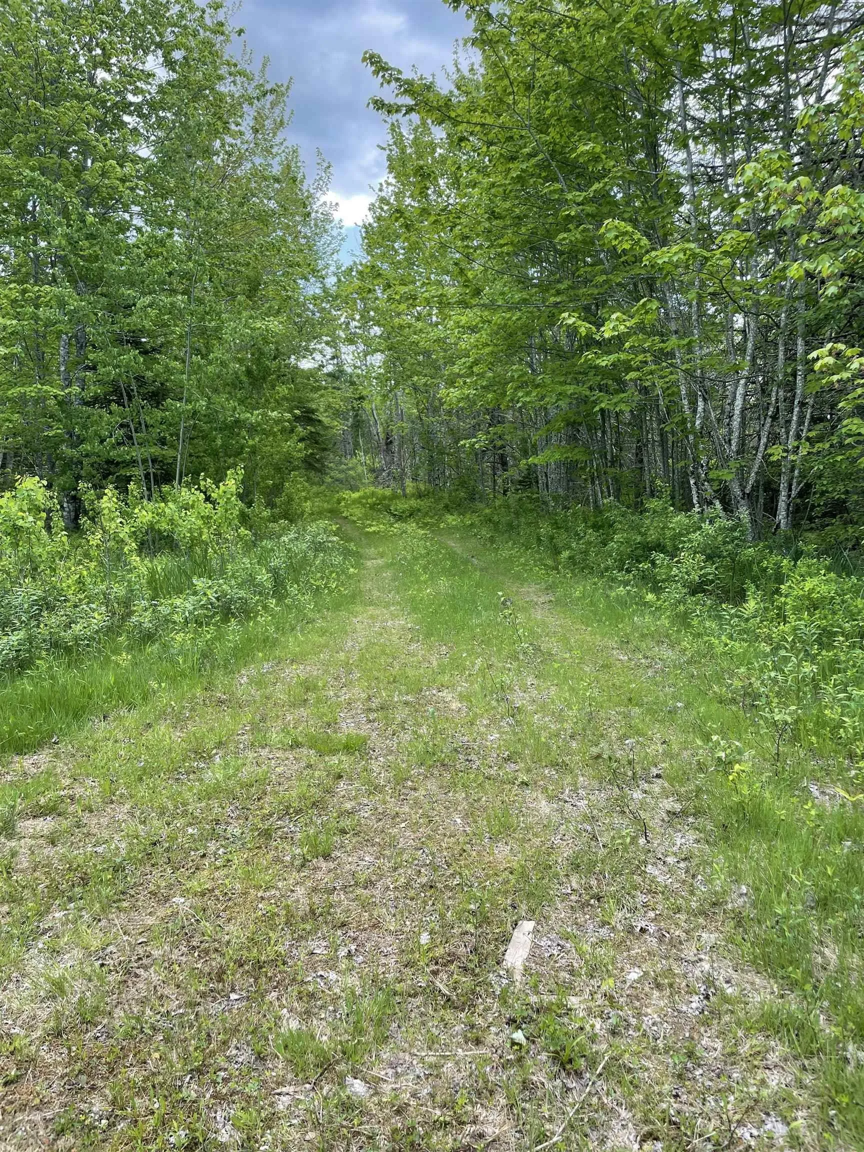 1849 Wallace Grant Road, Wallace Grant, NS B0K 1E0, 1 Bedroom Bedrooms, ,Residential,For Sale,Wallace Grant,202513331