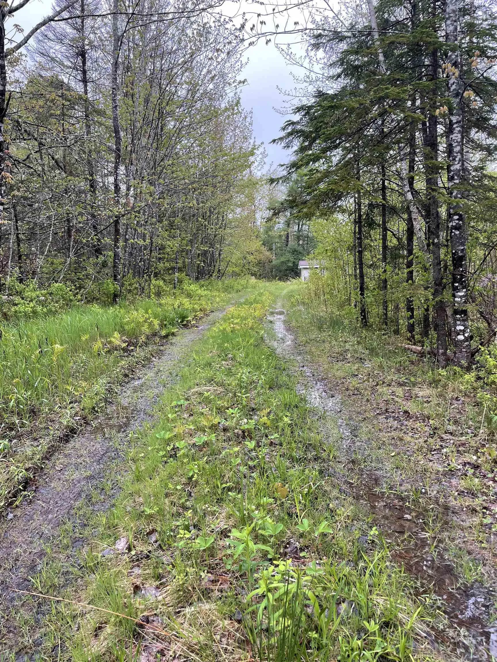 1849 Wallace Grant Road, Wallace Grant, NS B0K 1E0, 1 Bedroom Bedrooms, ,Residential,For Sale,Wallace Grant,202513331