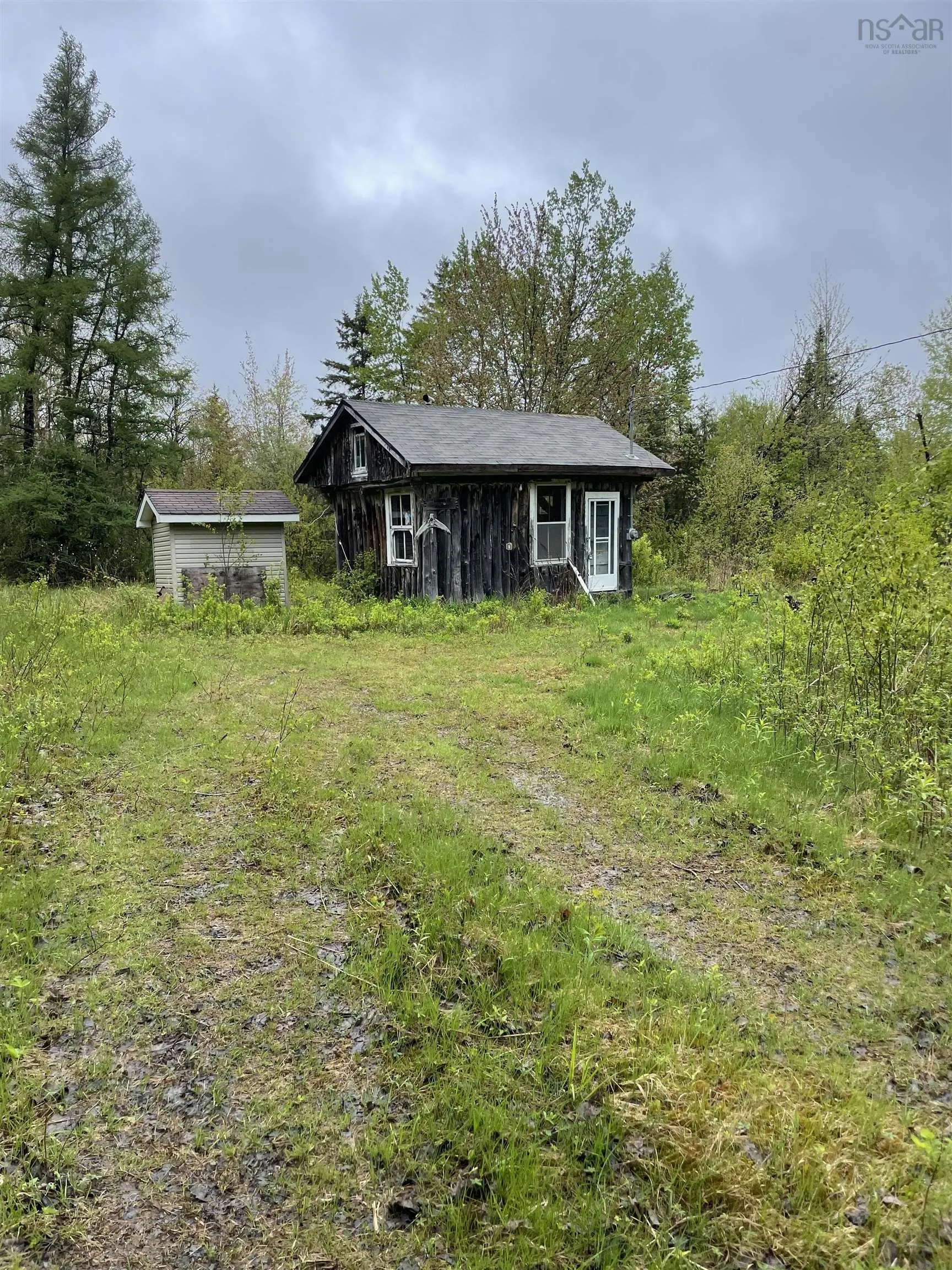 1849 Wallace Grant Road, Wallace Grant, NS B0K 1E0, 1 Bedroom Bedrooms, ,Residential,For Sale,Wallace Grant,202513331