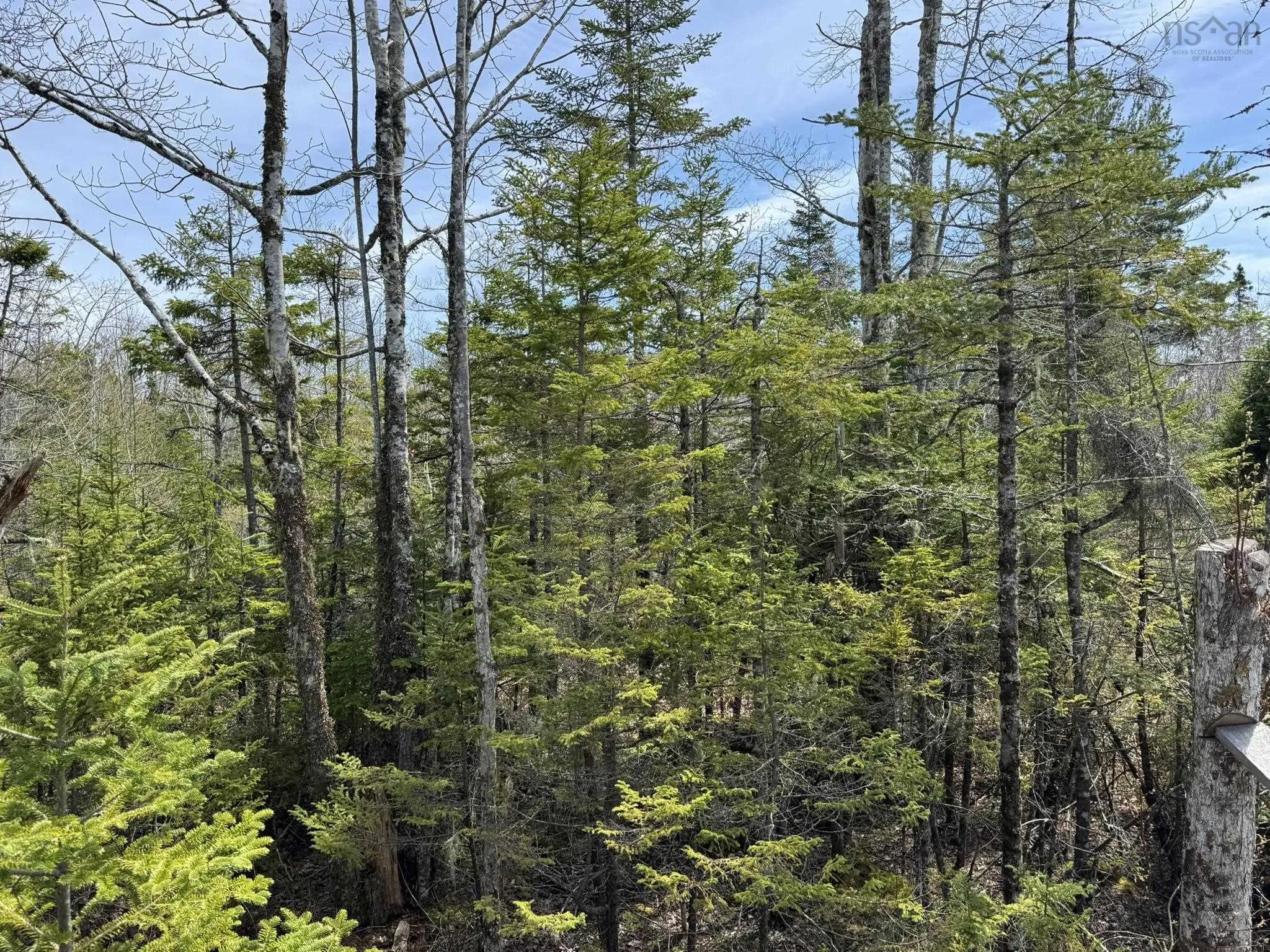 7714 Highway 3, Summerville Centre Ns B0t 1t0, 2 Bedrooms Bedrooms, ,1 BathroomBathrooms,Residential,For Sale,Highway 3,202510540