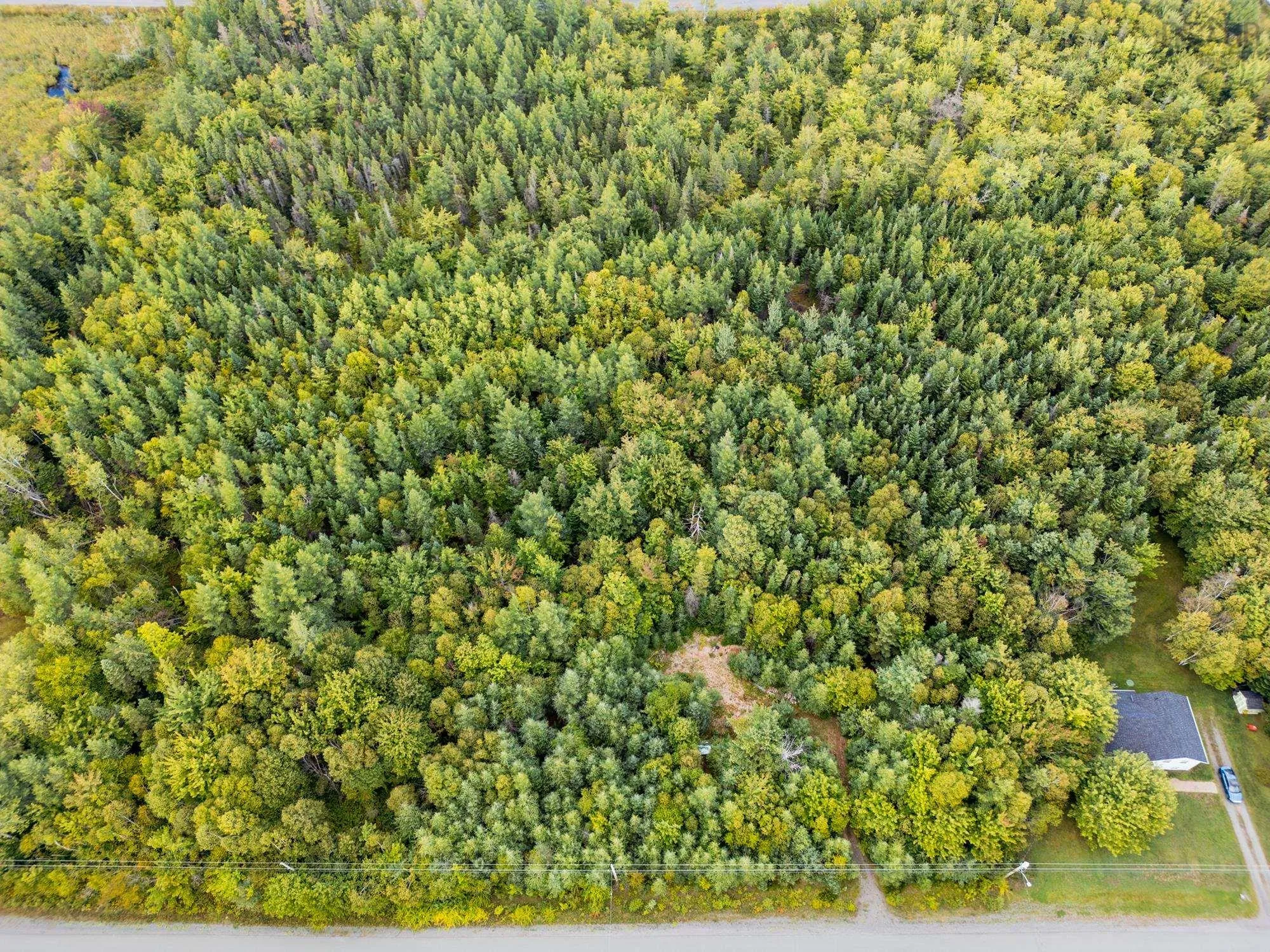 Lot 97-5 Mountainview Drive, Sydney Forks, NS B1L 1A1, ,Land,For Sale,Mountainview Drive,202523410