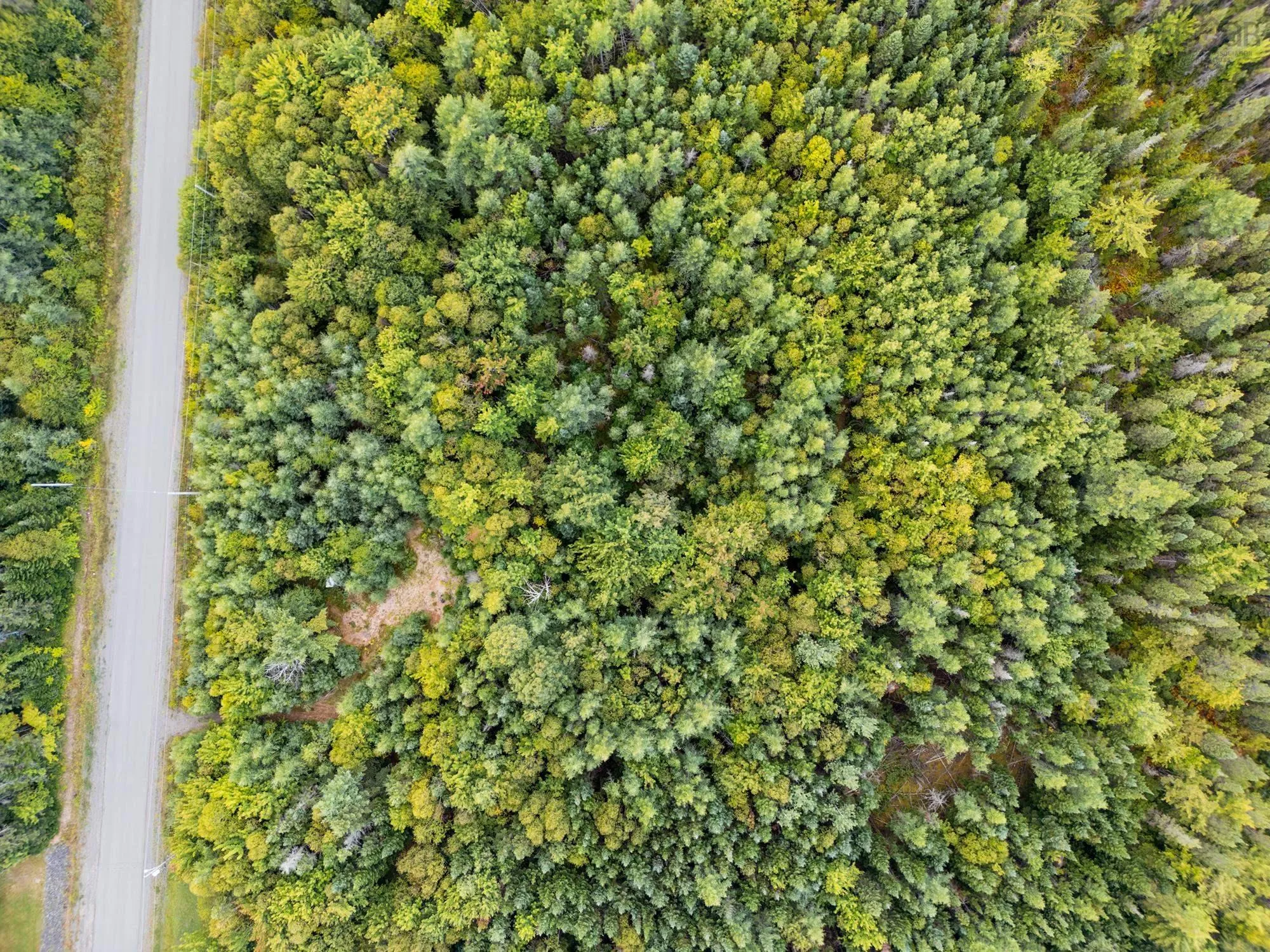 Lot 97-5 Mountainview Drive, Sydney Forks, NS B1L 1A1, ,Land,For Sale,Mountainview Drive,202523410