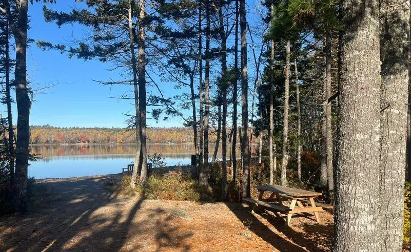 Blue Jay Way Lot 109, Vaughan Ns B0n 2t0, ,Land,For Sale,Blue Jay Way,202426331