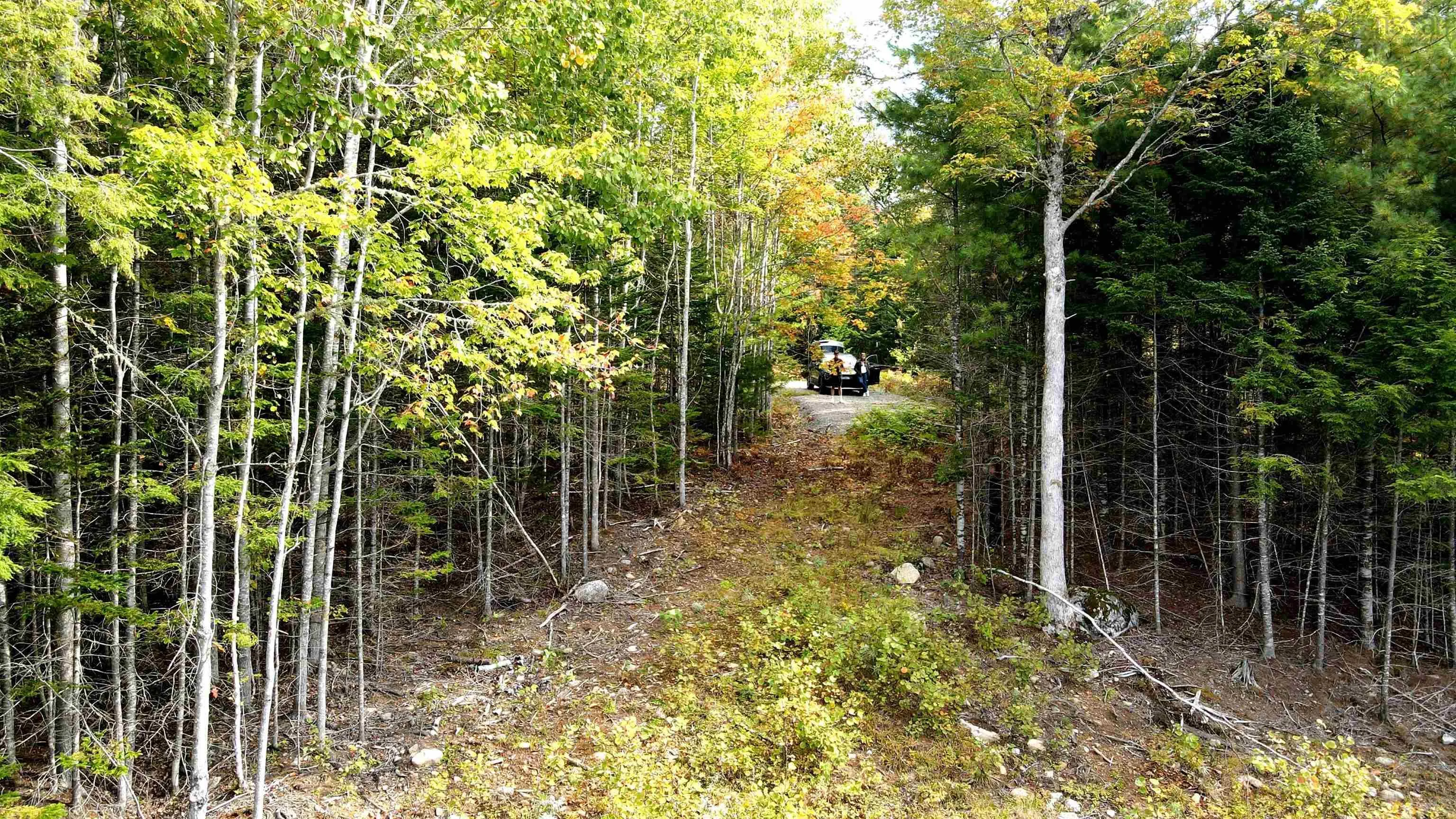 Blue Jay Way Lot 109, Vaughan Ns B0n 2t0, ,Land,For Sale,Blue Jay Way,202426331