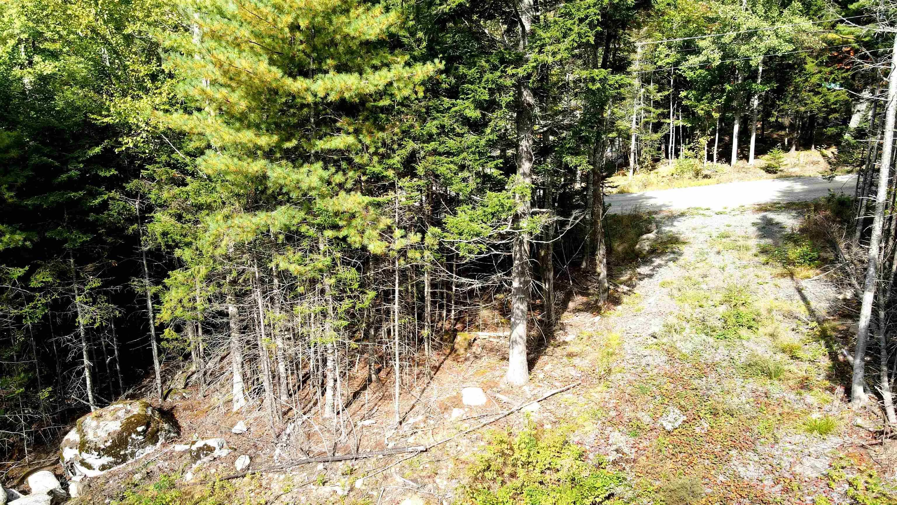 Blue Jay Way Lot 109, Vaughan Ns B0n 2t0, ,Land,For Sale,Blue Jay Way,202426331