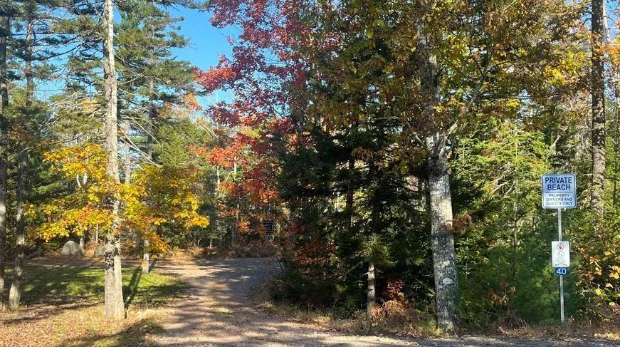 Blue Jay Way Lot 109, Vaughan Ns B0n 2t0, ,Land,For Sale,Blue Jay Way,202426331