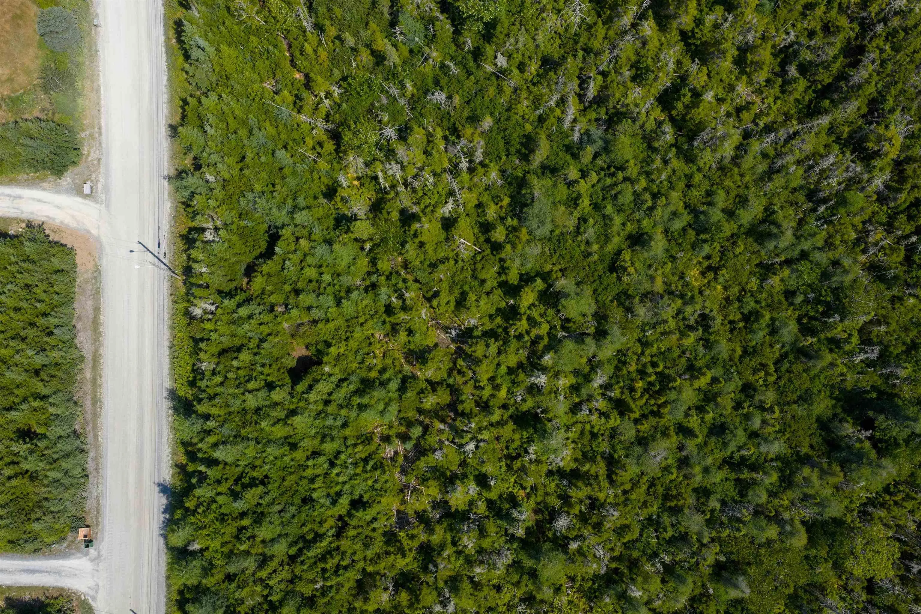Lot Xa2 Conrod Beach Road, East Chezzetcook, NS B0J 1N0, ,Land,For Sale,Conrod Beach,202521180