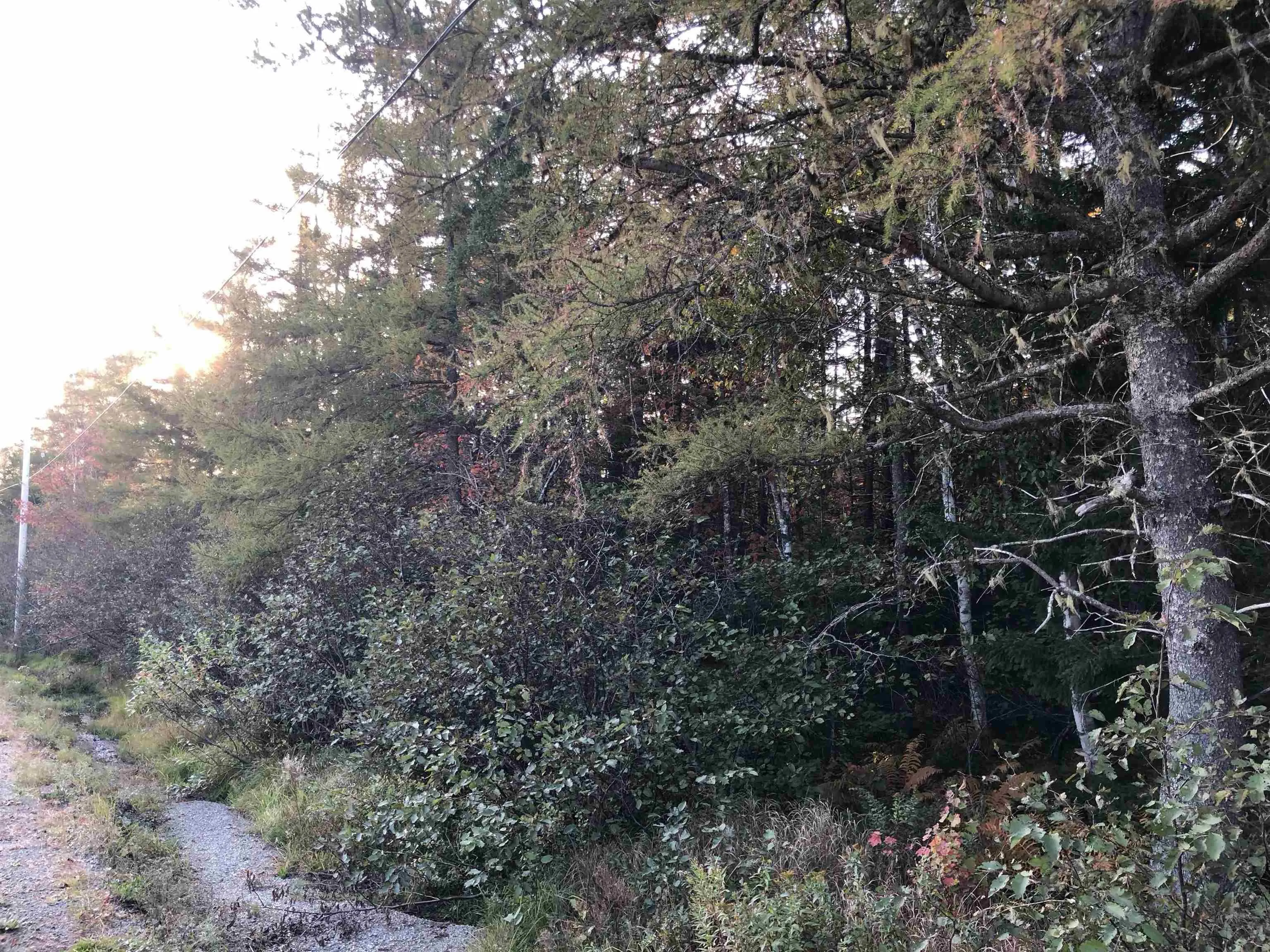 Lot 2022-2 Country Harbour Road, Cross Roads Country Harbour Ns B0h 1j0, ,Land,For Sale,Country Harbour Road,202419610