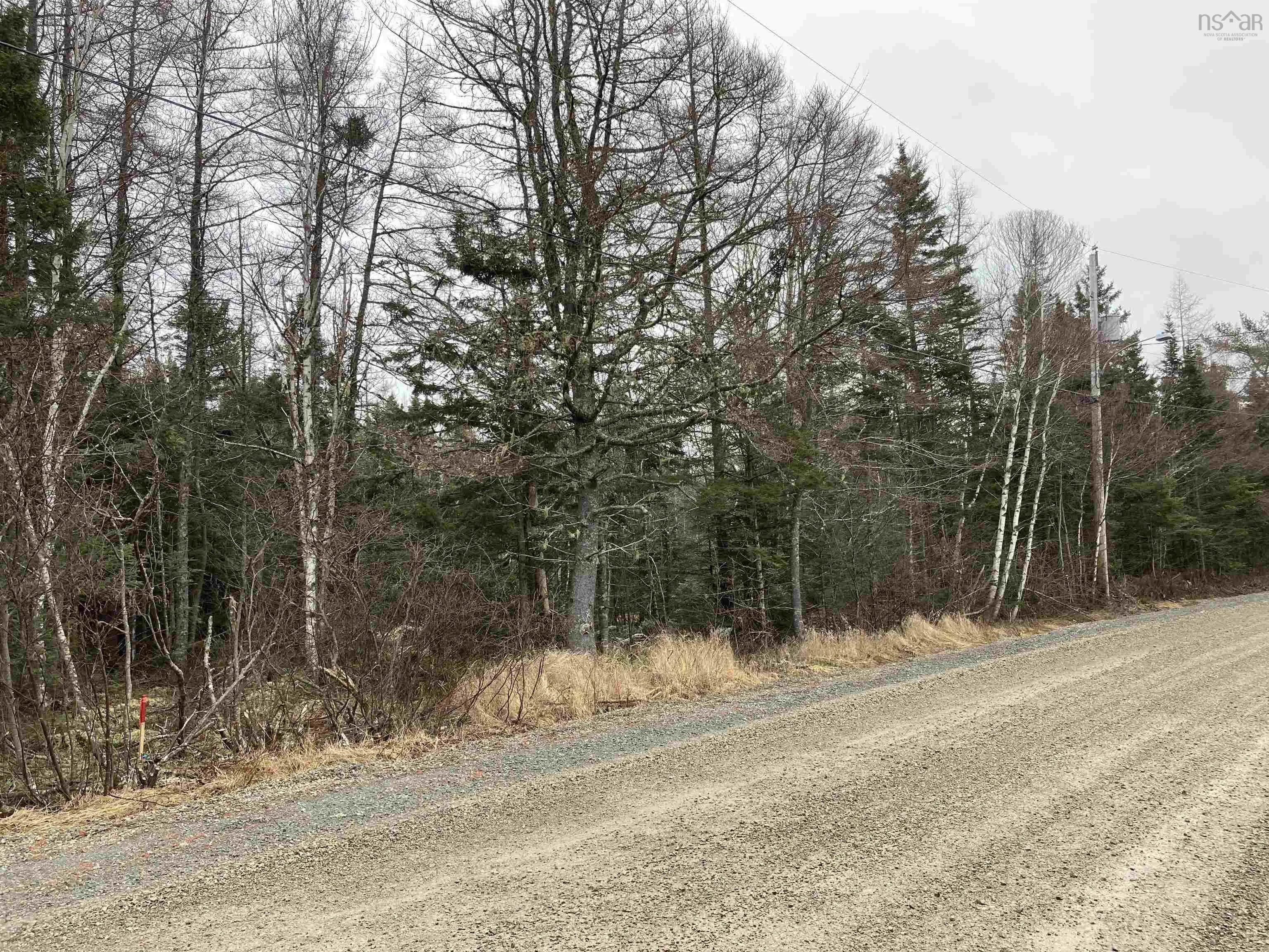 Lot 2022-2 Country Harbour Road, Cross Roads Country Harbour Ns B0h 1j0, ,Land,For Sale,Country Harbour Road,202419610