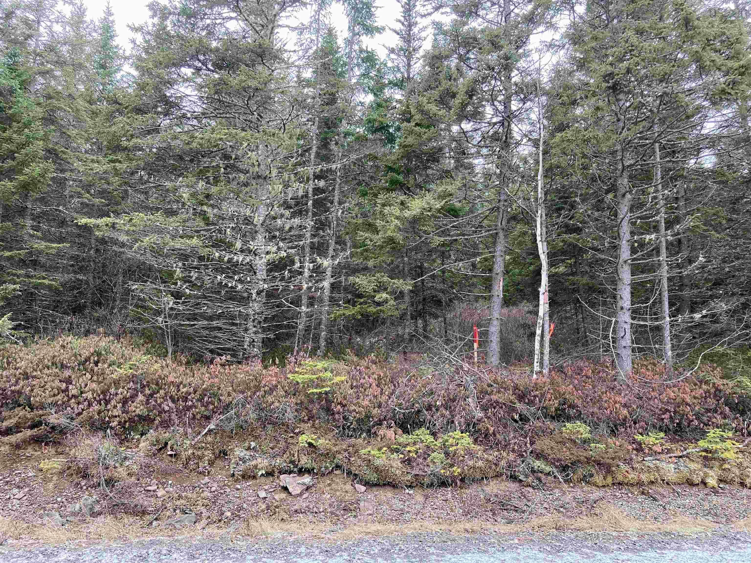 Lot 2022-2 Country Harbour Road, Cross Roads Country Harbour Ns B0h 1j0, ,Land,For Sale,Country Harbour Road,202419610