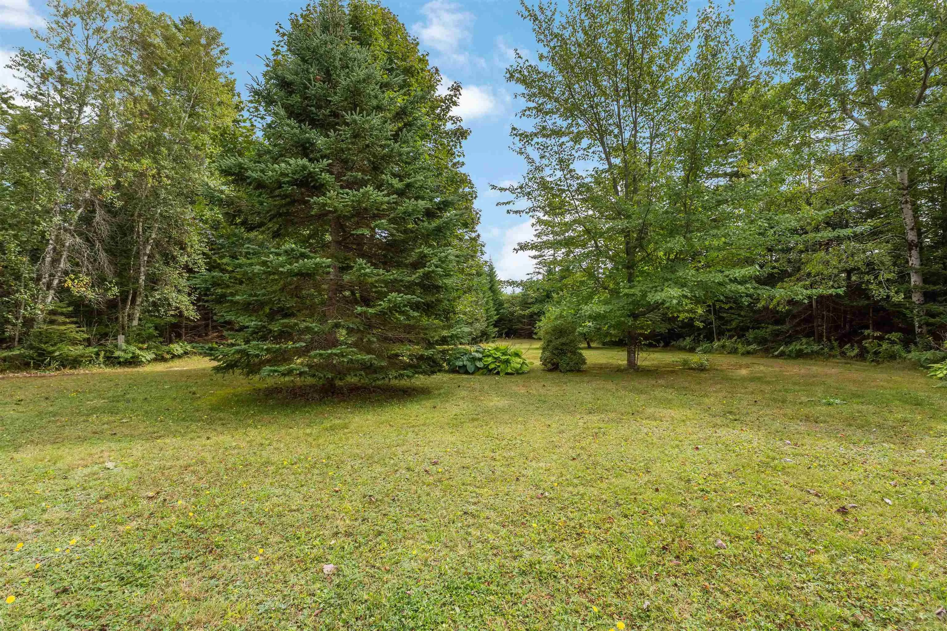708 Newtonville Road, Forest Hill, NS B4P 2R1, 4 Bedrooms Bedrooms, ,2 BathroomsBathrooms,Residential,For Sale,Newtonville,202522940
