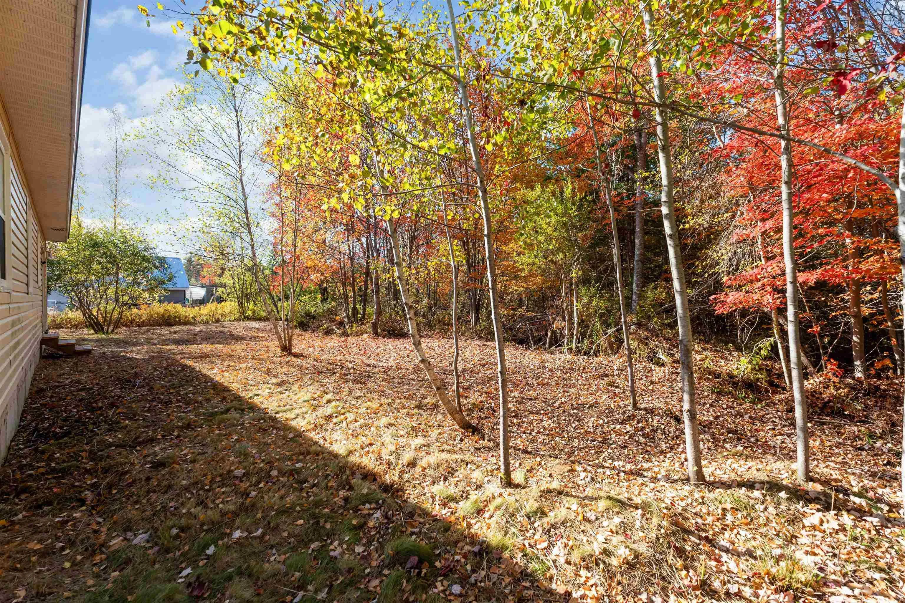 1119 Victoria Road, Aylesford, NS B0P 1C0, 3 Bedrooms Bedrooms, ,1 BathroomBathrooms,Residential,For Sale,Victoria,202525526
