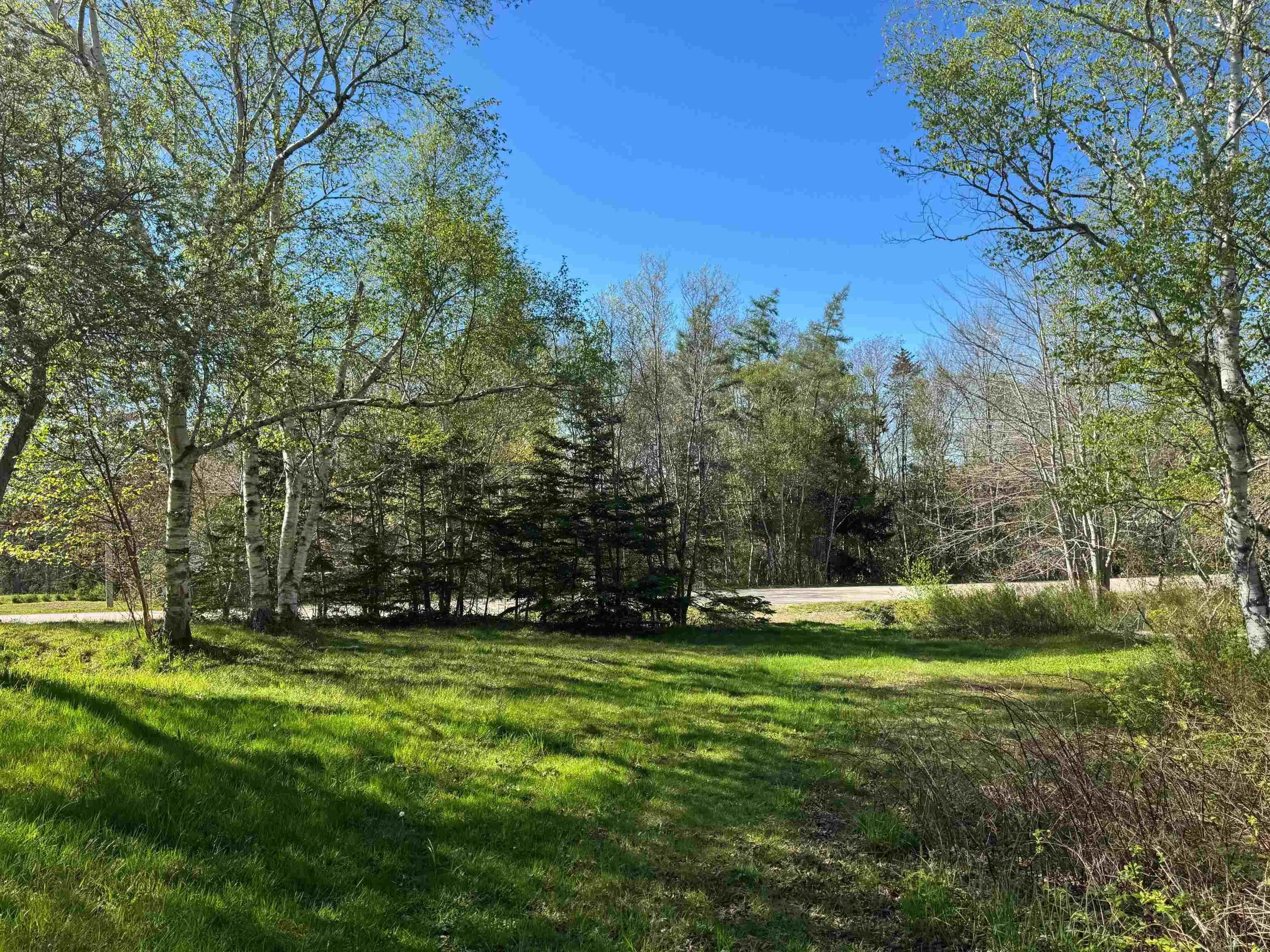 680 Mood Road, Summerville, NS B5A 5J4, ,Land,For Sale,Mood,202512958