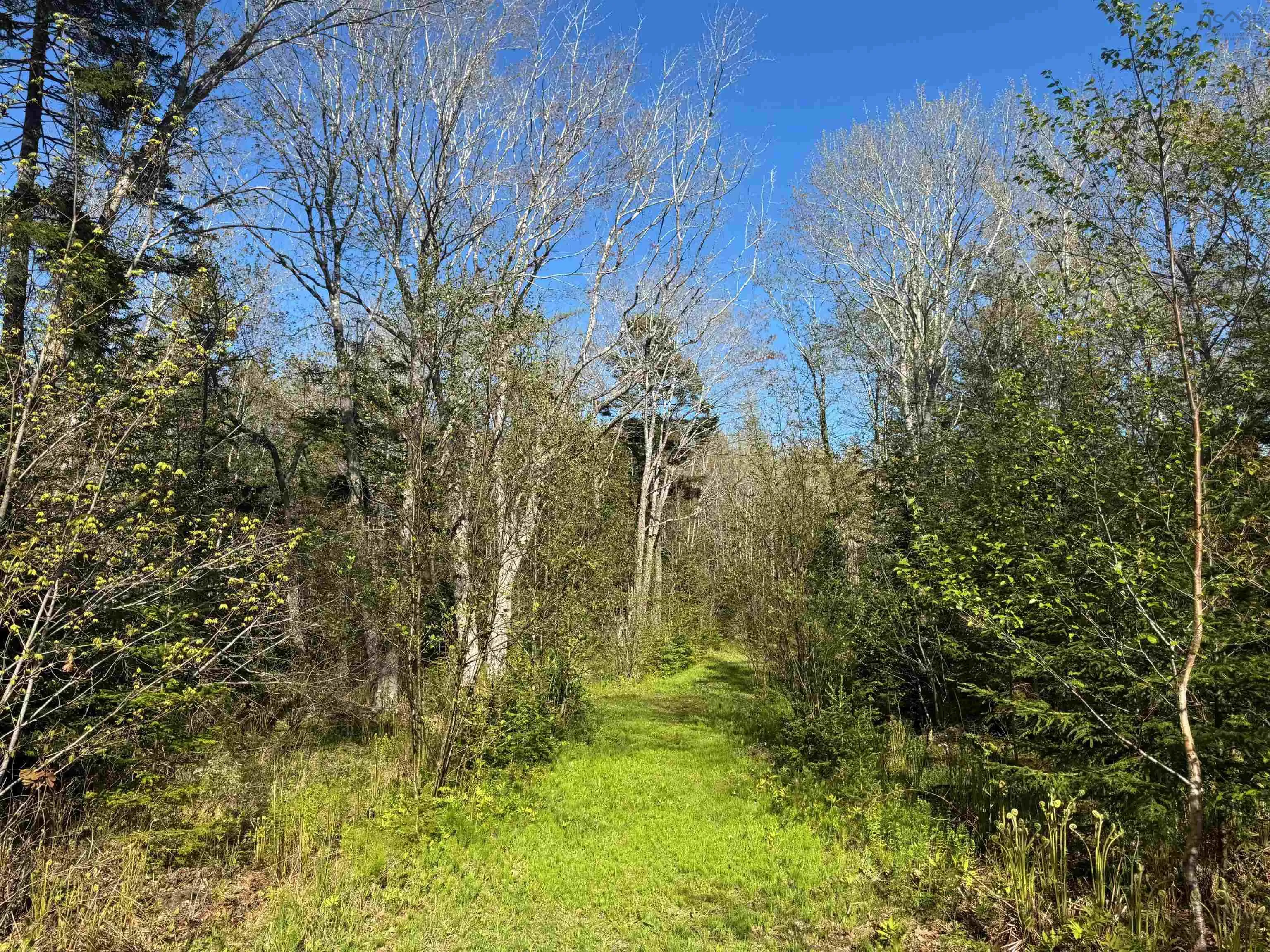 680 Mood Road, Summerville, NS B5A 5J4, ,Land,For Sale,Mood,202512958