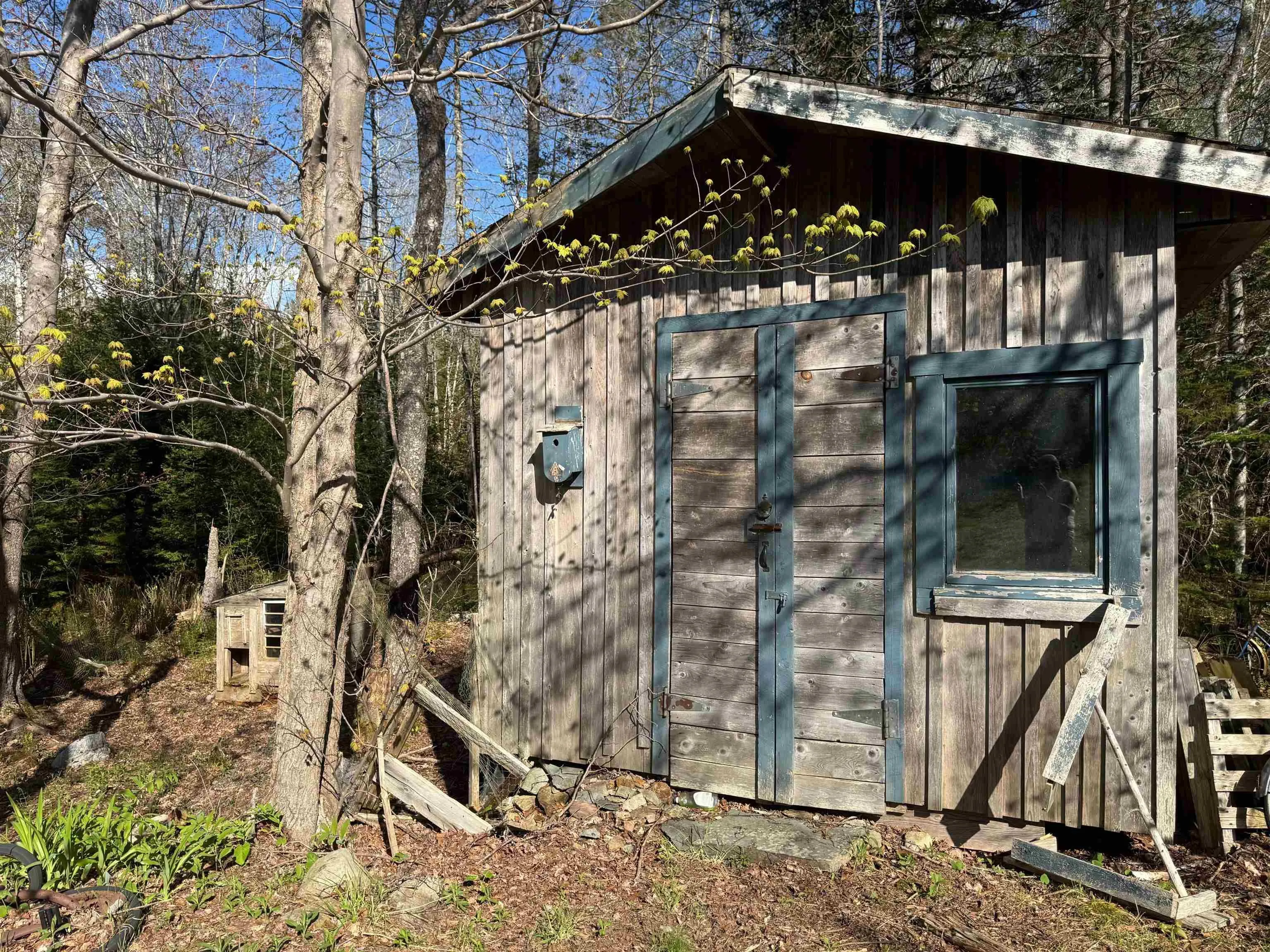 680 Mood Road, Summerville, NS B5A 5J4, ,Land,For Sale,Mood,202512958