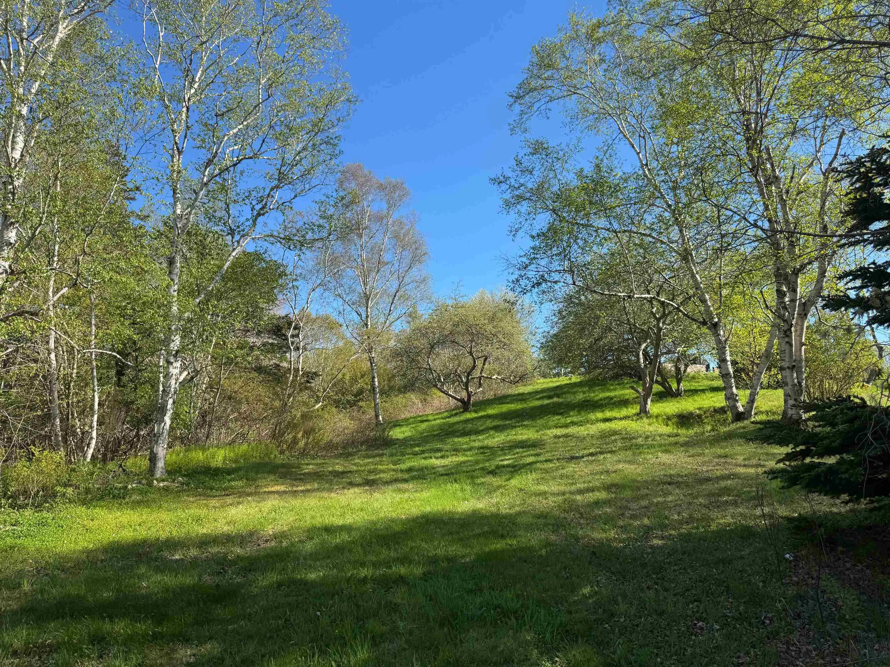 680 Mood Road, Summerville, NS B5A 5J4, ,Land,For Sale,Mood,202512958