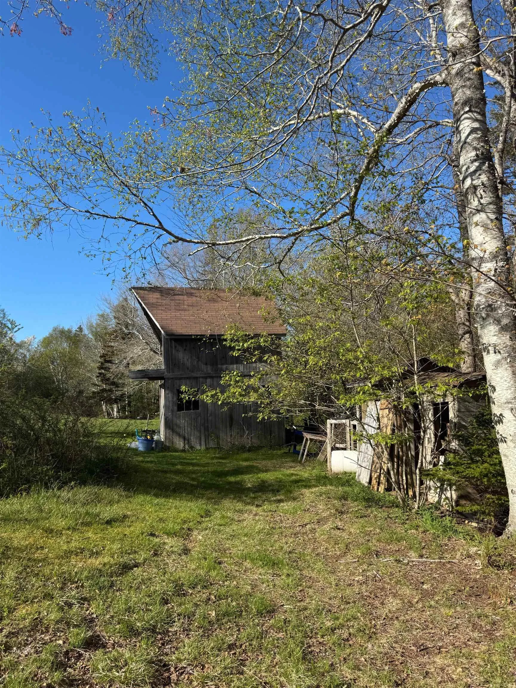 680 Mood Road, Summerville, NS B5A 5J4, ,Land,For Sale,Mood,202512958