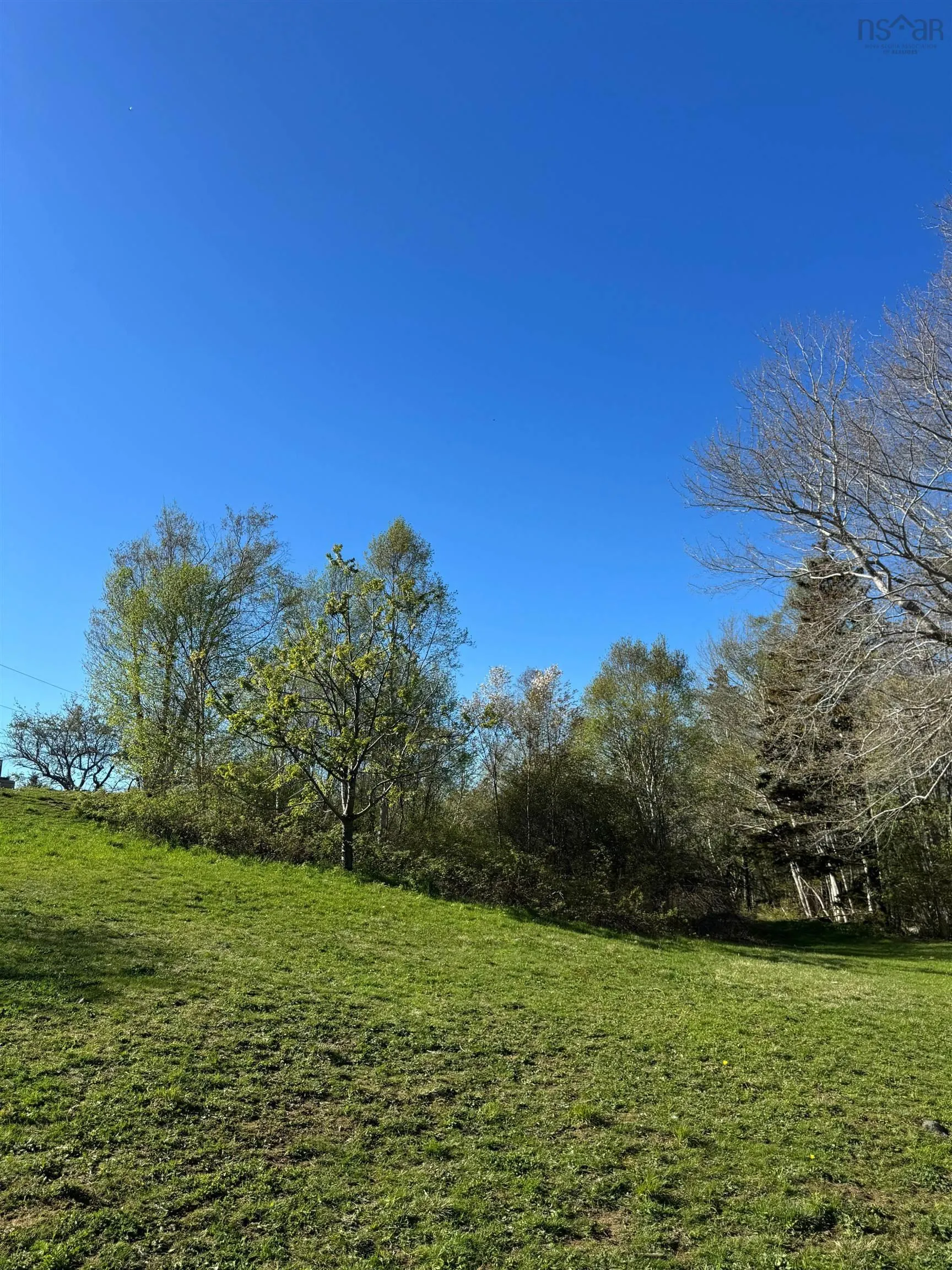 680 Mood Road, Summerville, NS B5A 5J4, ,Land,For Sale,Mood,202512958