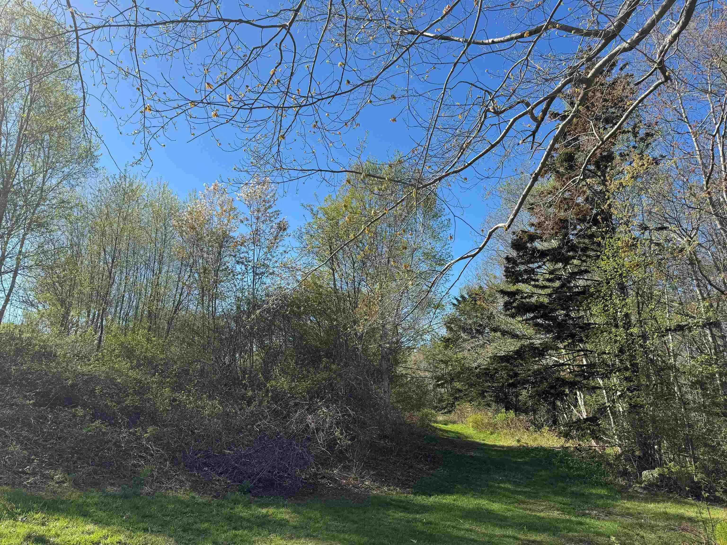 680 Mood Road, Summerville, NS B5A 5J4, ,Land,For Sale,Mood,202512958