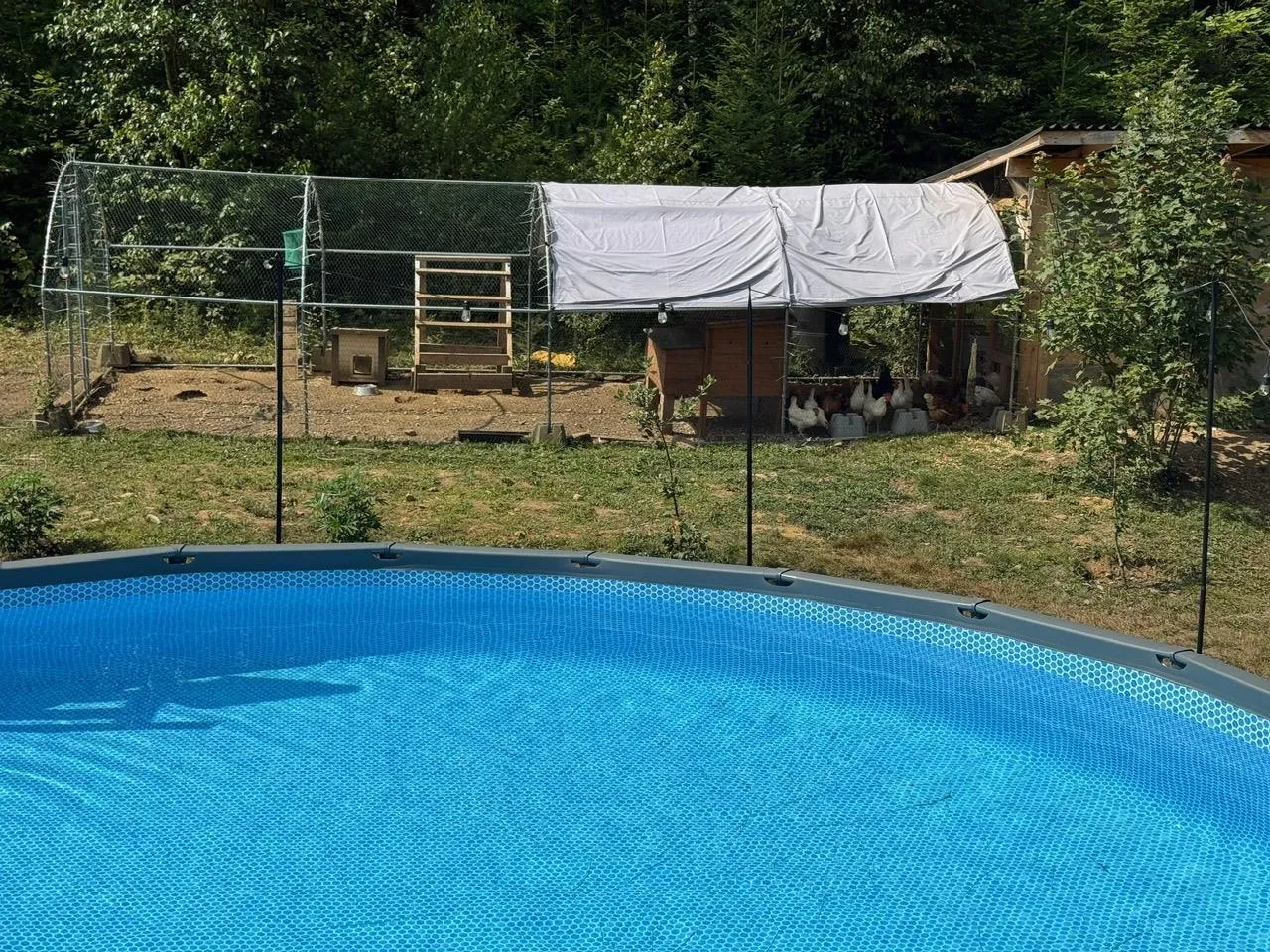 489 Sarty Road, Wentzells Lake, NS B4V 8V9, 4 Bedrooms Bedrooms, ,3 BathroomsBathrooms,Residential,For Sale,Sarty,202520257