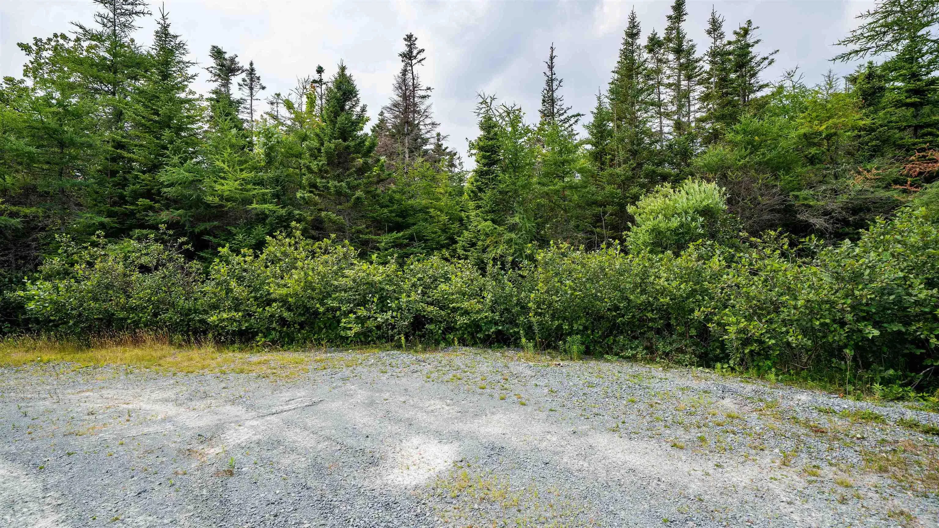 Lot 9, Musquodoboit Harbour, NS B0J 2L0, ,Land,For Sale,Drake,202520505