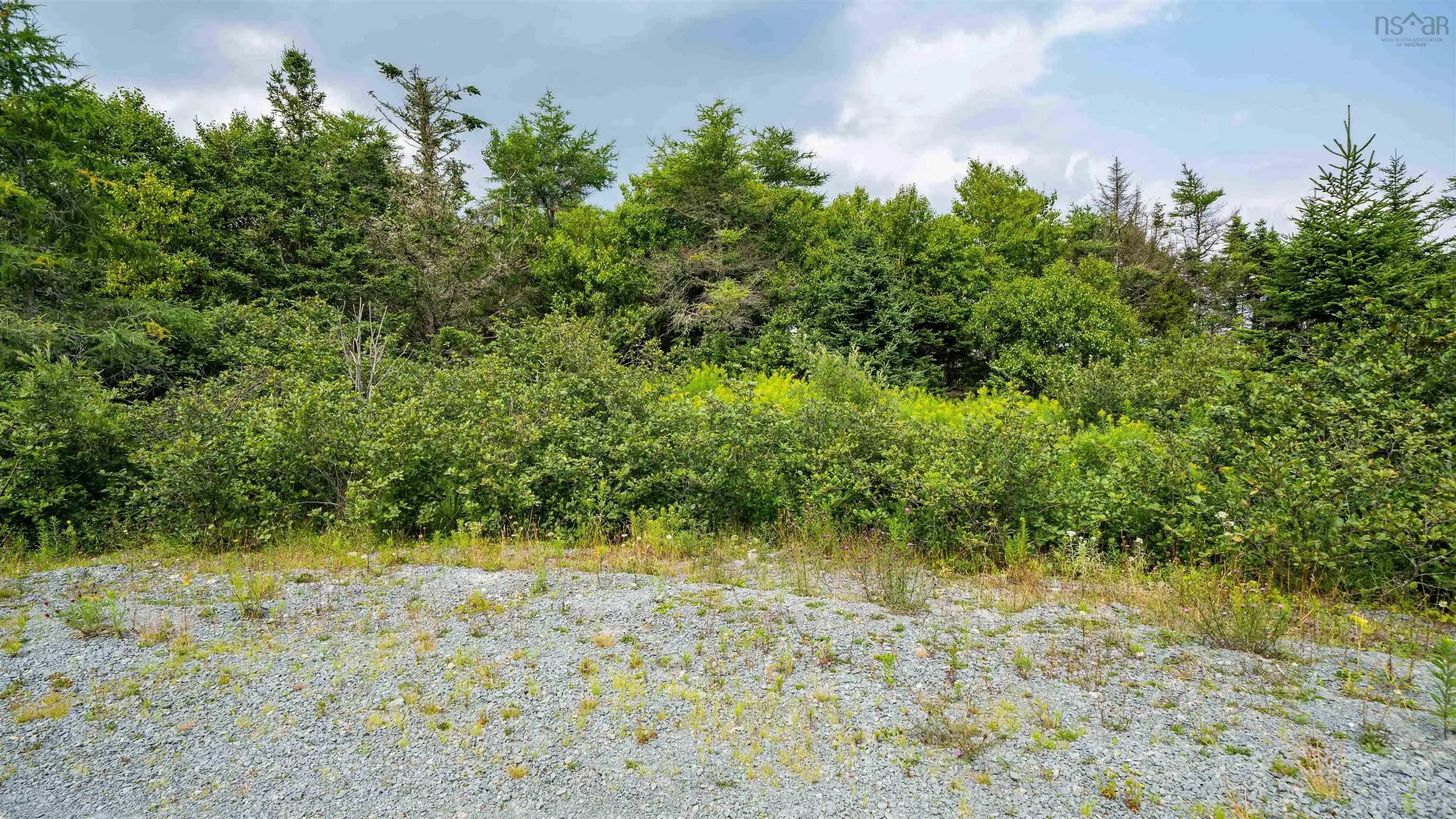 Lot 9, Musquodoboit Harbour, NS B0J 2L0, ,Land,For Sale,Drake,202520505