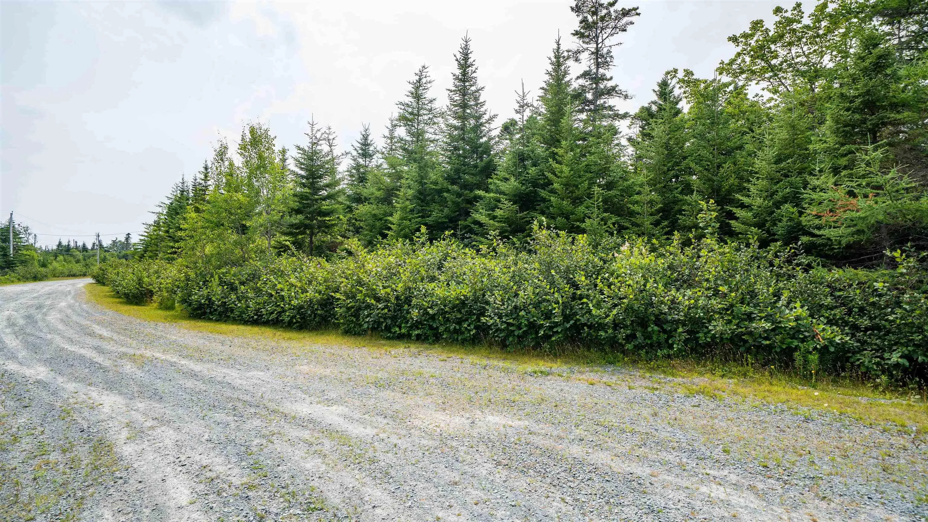 Lot 9, Musquodoboit Harbour, NS B0J 2L0, ,Land,For Sale,Drake,202520505
