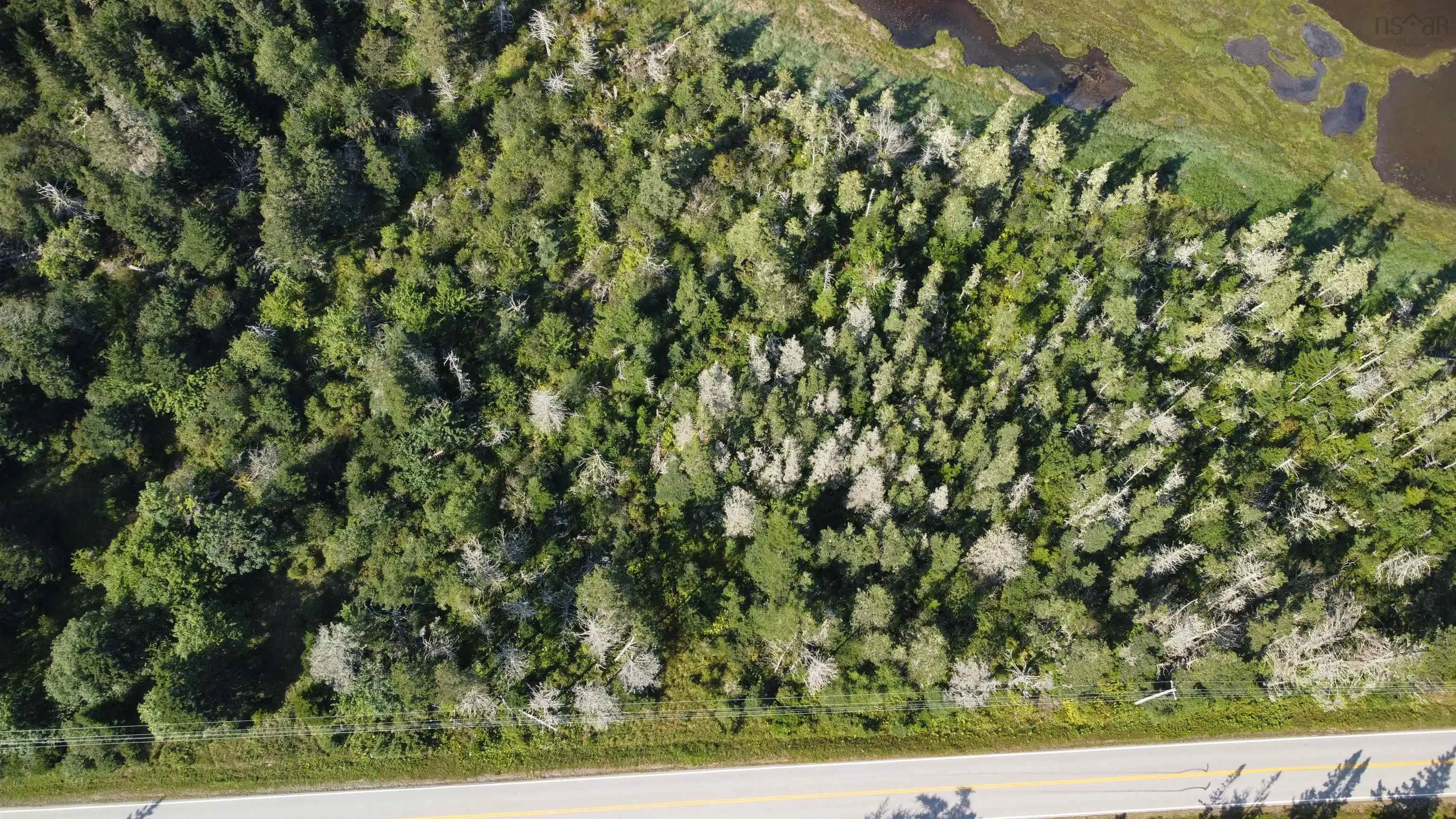 Pid#80059223 Port Latour Road, Port La Tour, NS B0W 1E0, ,Land,For Sale,Pid#80059223 Port Latour,202521679