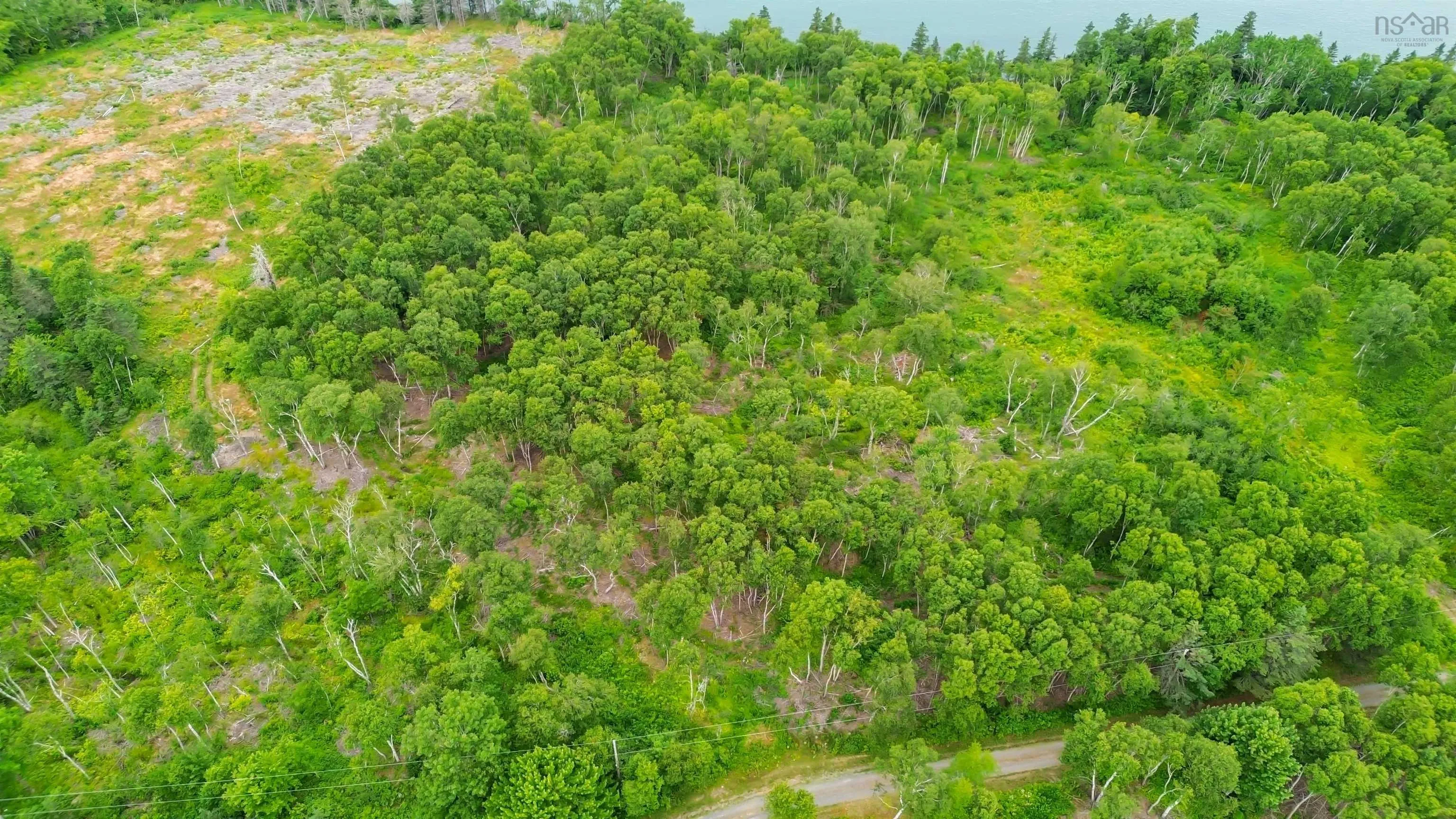 Wall Street Lot 3, Canada Creek, NS B0P 1V0, ,Land,For Sale,Wall,202517653