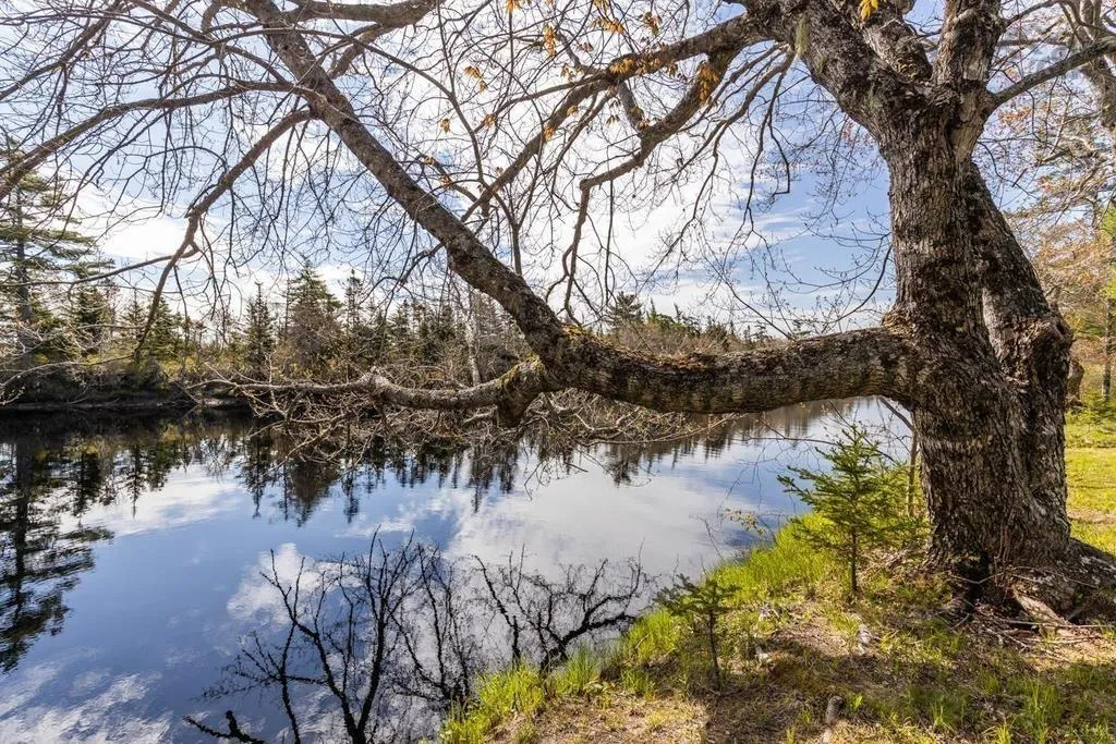 1256 Upper Clyde Road, Clyde River Ns B0w 1r0, 3 Bedrooms Bedrooms, ,1 BathroomBathrooms,Residential,For Sale,Upper Clyde,202504504