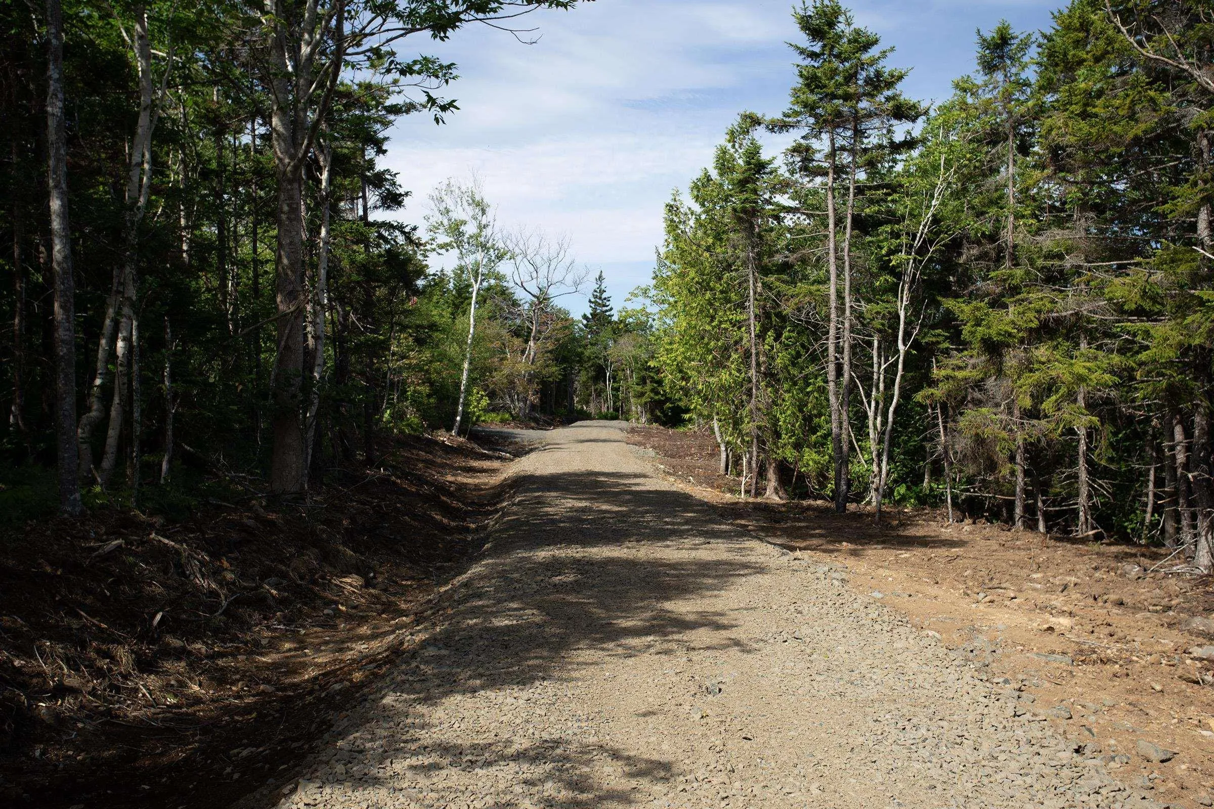 Lot 1 Shore Road, Hillsburn, NS B0S 1K0, ,Land,For Sale,Shore,202510911
