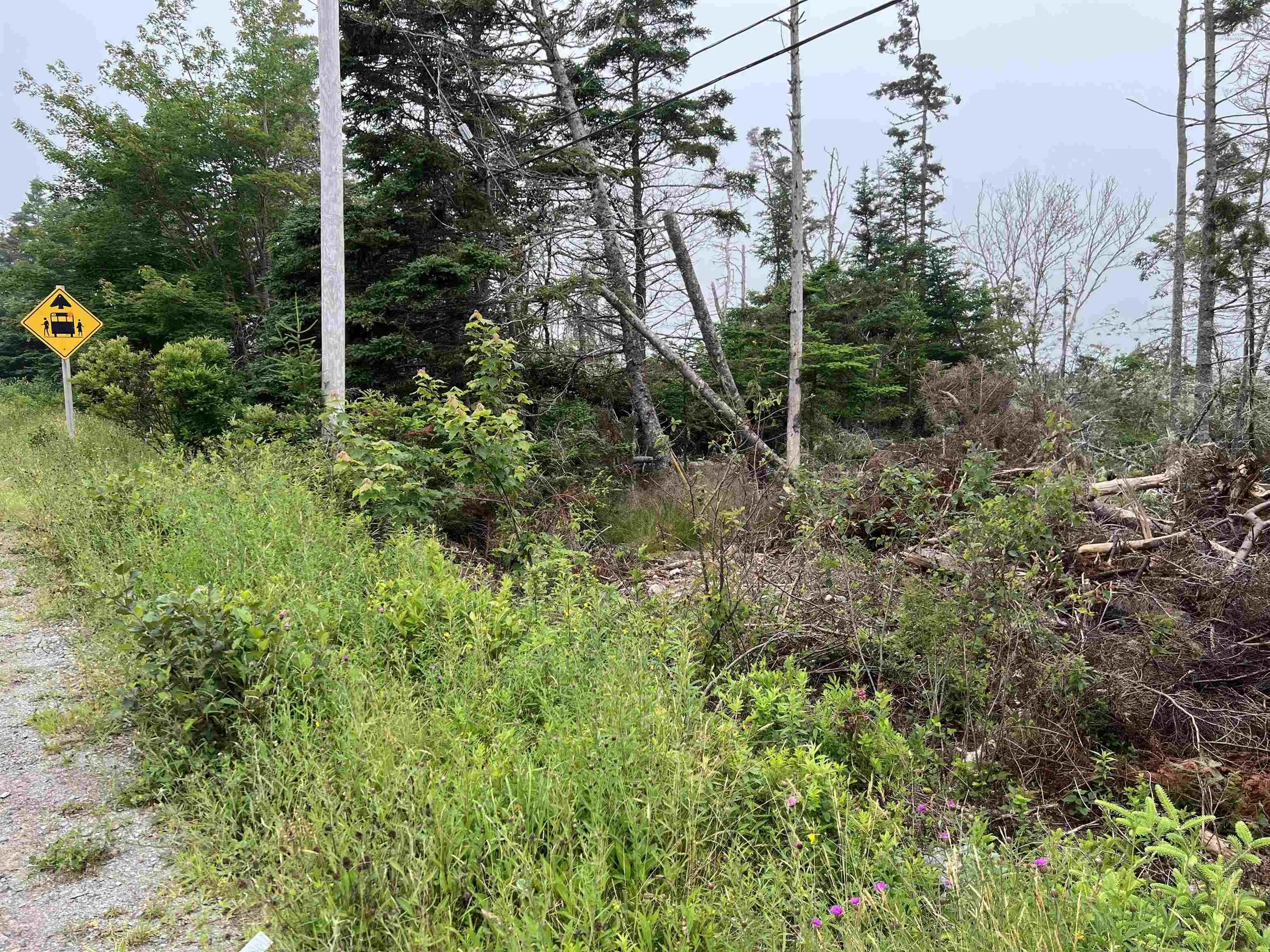 26431 Highway 7, Sheet Harbour Ns B0j 2r0, ,Land,For Sale,Highway 7,202416878