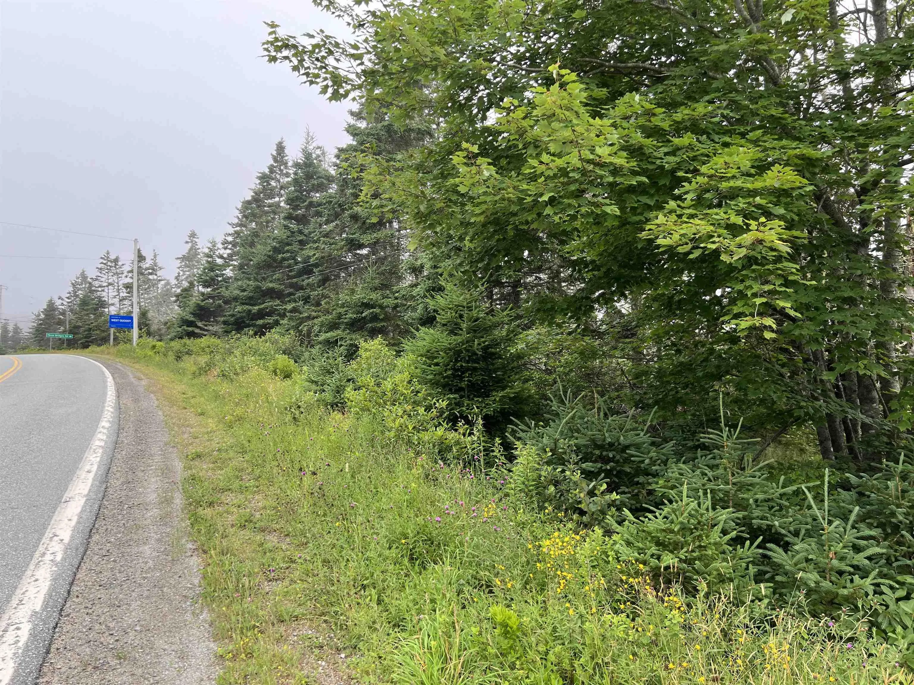 26431 Highway 7, Sheet Harbour Ns B0j 2r0, ,Land,For Sale,Highway 7,202416878
