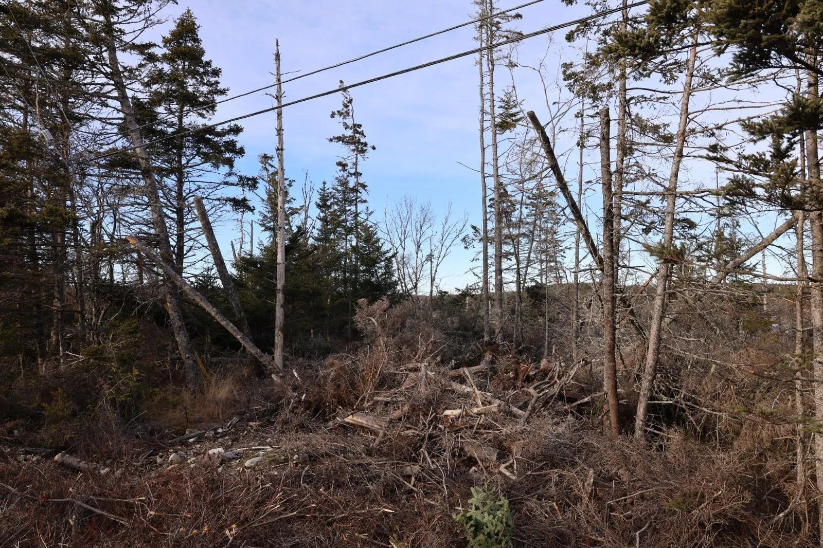 26431 Highway 7, Sheet Harbour Ns B0j 2r0, ,Land,For Sale,Highway 7,202416878