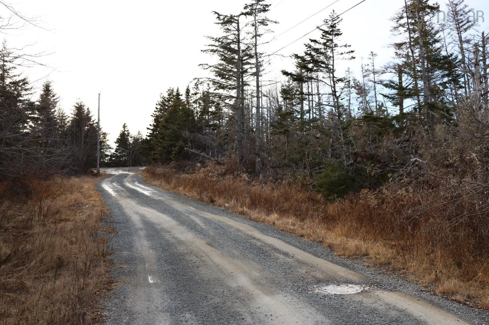 26431 Highway 7, Sheet Harbour Ns B0j 2r0, ,Land,For Sale,Highway 7,202416878