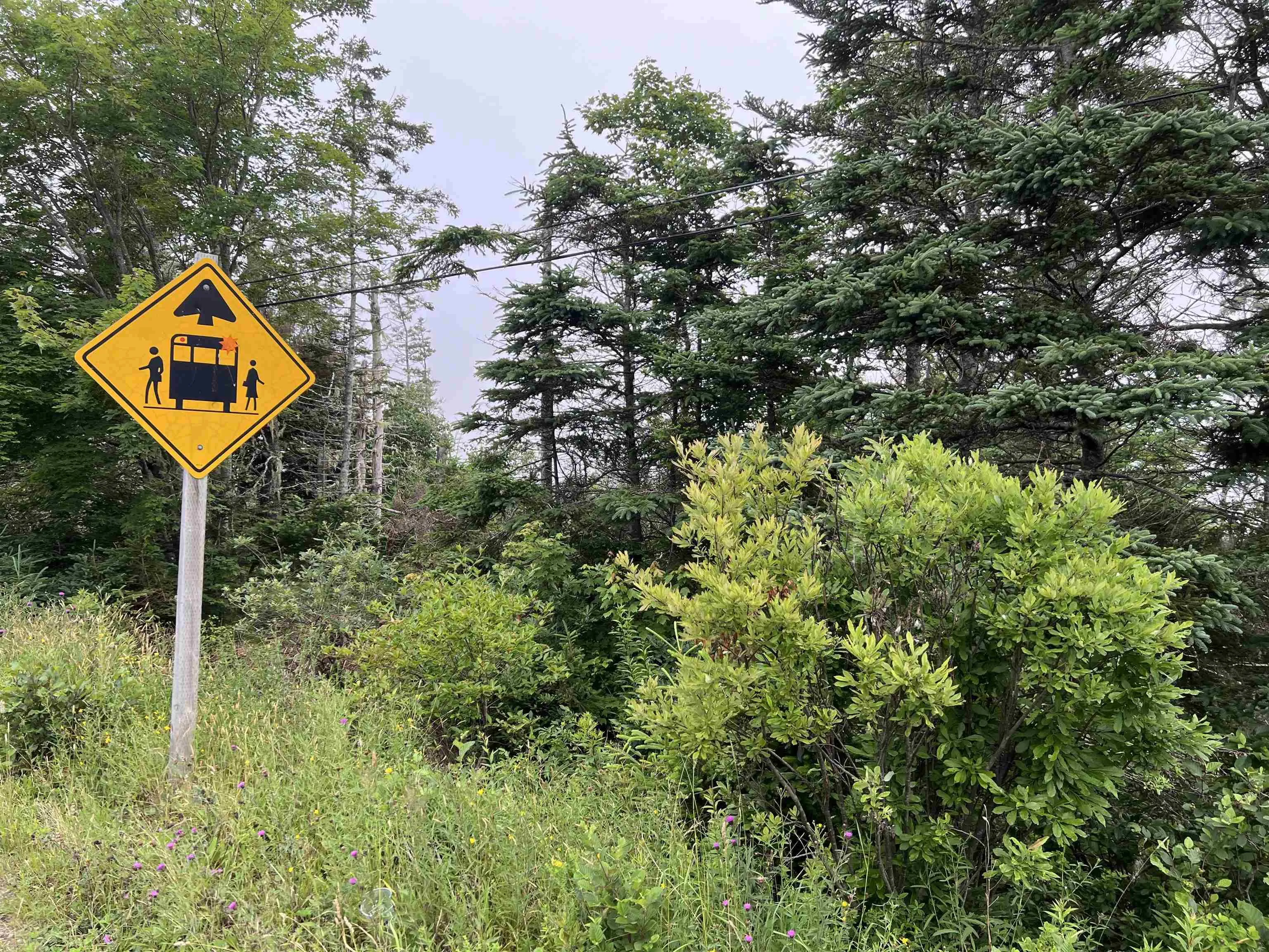 26431 Highway 7, Sheet Harbour Ns B0j 2r0, ,Land,For Sale,Highway 7,202416878