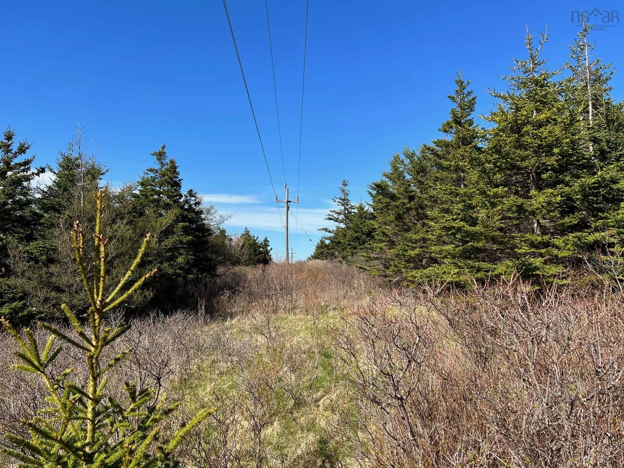 11838 Cabot Trail, Cap Le Moine, NS B0E 3A0, ,Land,For Sale,Cabot,202520632