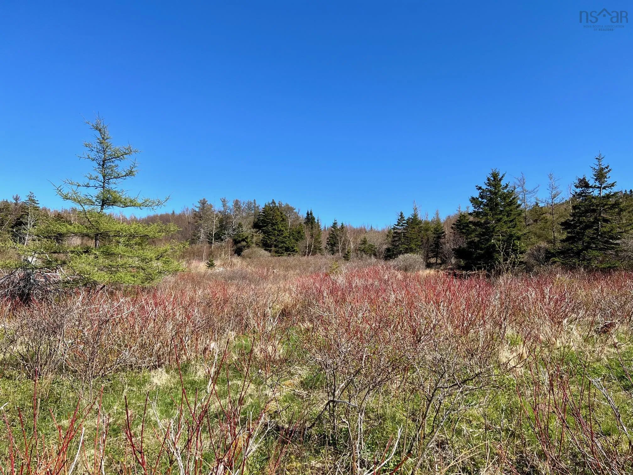 11838 Cabot Trail, Cap Le Moine, NS B0E 3A0, ,Land,For Sale,Cabot,202520632