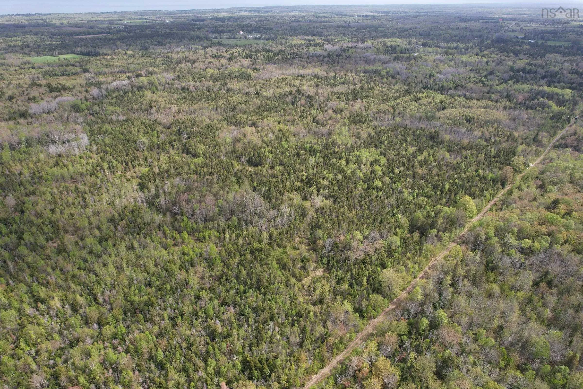 Gould Road, Burlington, NS B0P 1E0, ,Land,For Sale,Gould,202511781