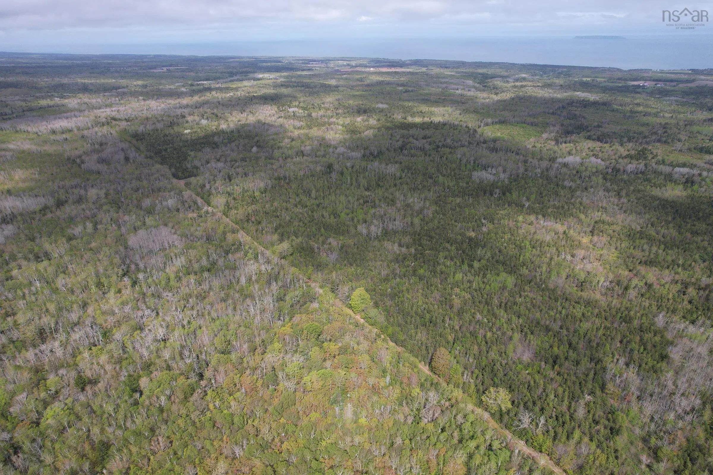 Gould Road, Burlington, NS B0P 1E0, ,Land,For Sale,Gould,202511781