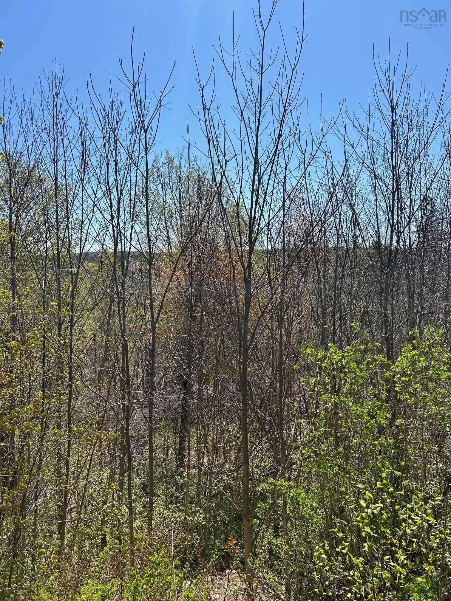 C West River Station Road, Salt Springs Ns B0k 1z0, ,Land,For Sale,West River Station,202501657