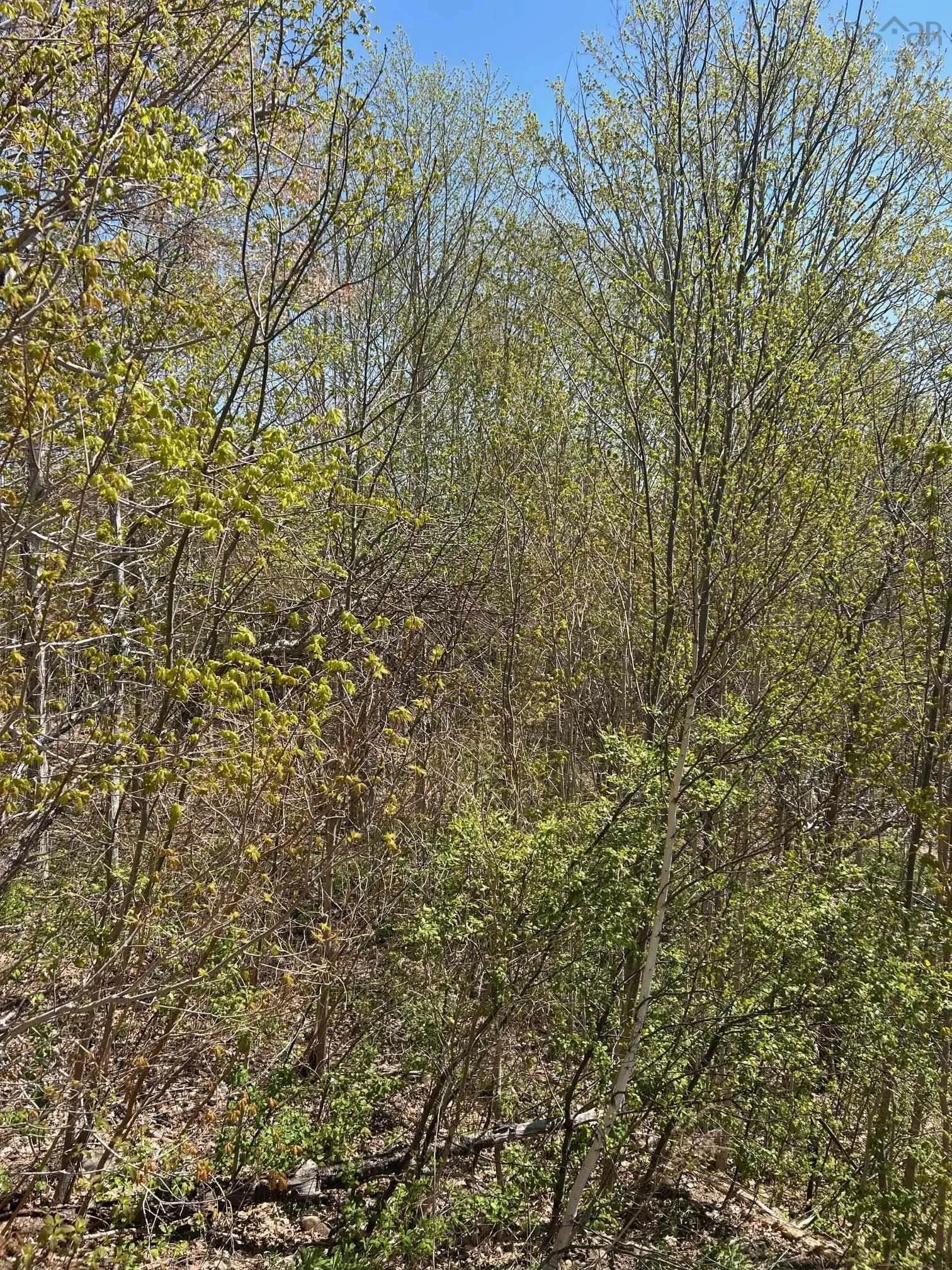 C West River Station Road, Salt Springs Ns B0k 1z0, ,Land,For Sale,West River Station,202501657