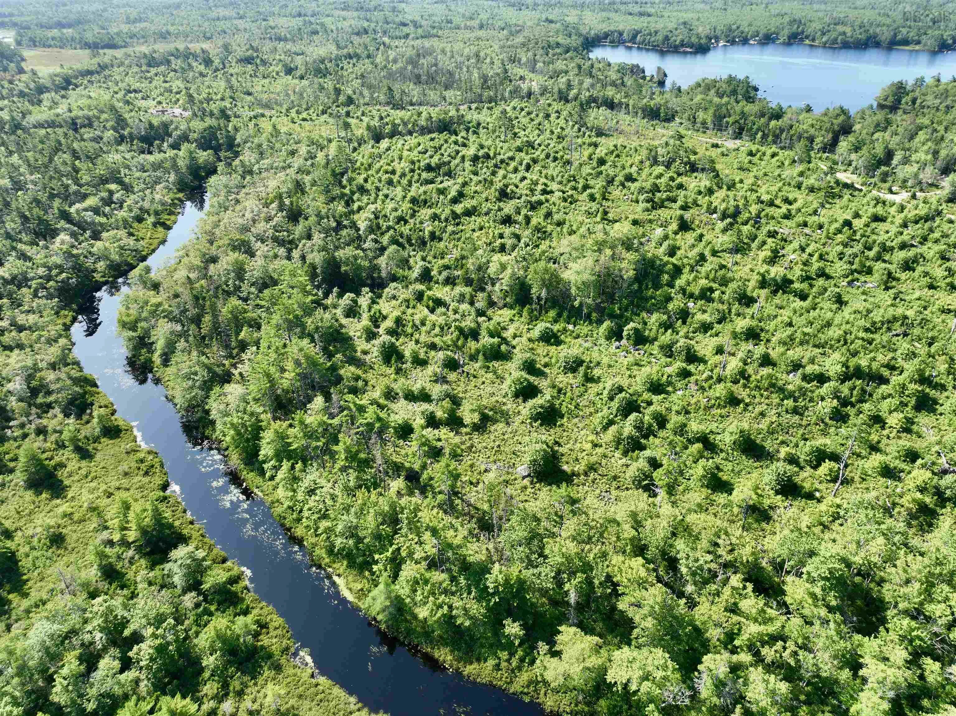 Virginia Road, West Springhill, NS B0S 1A0, ,Land,For Sale,Virginia,202518891