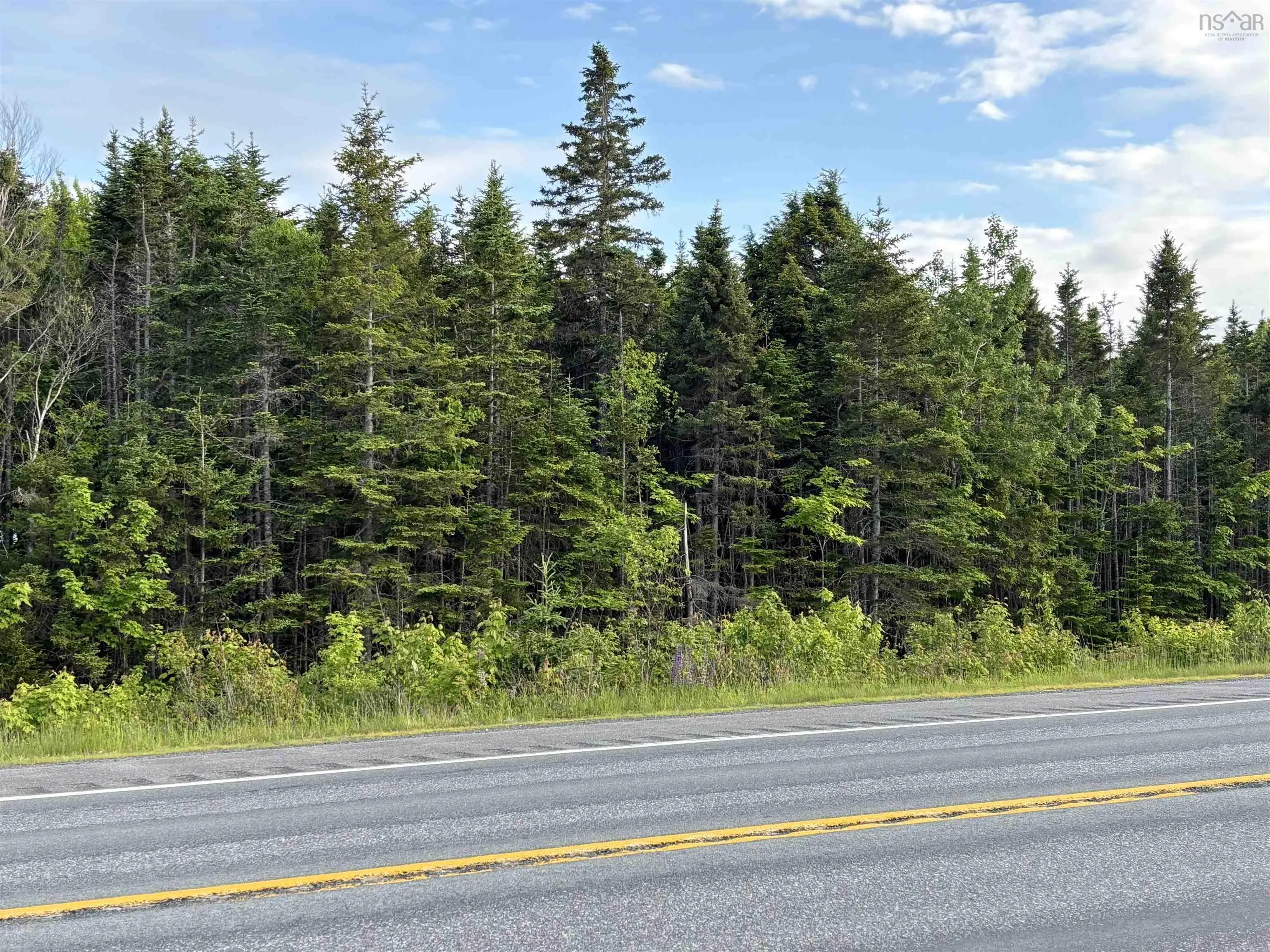 105 Highway Highway, Dalem Lake, NS B1X 1A1, ,Land,For Sale,Highway,202520781