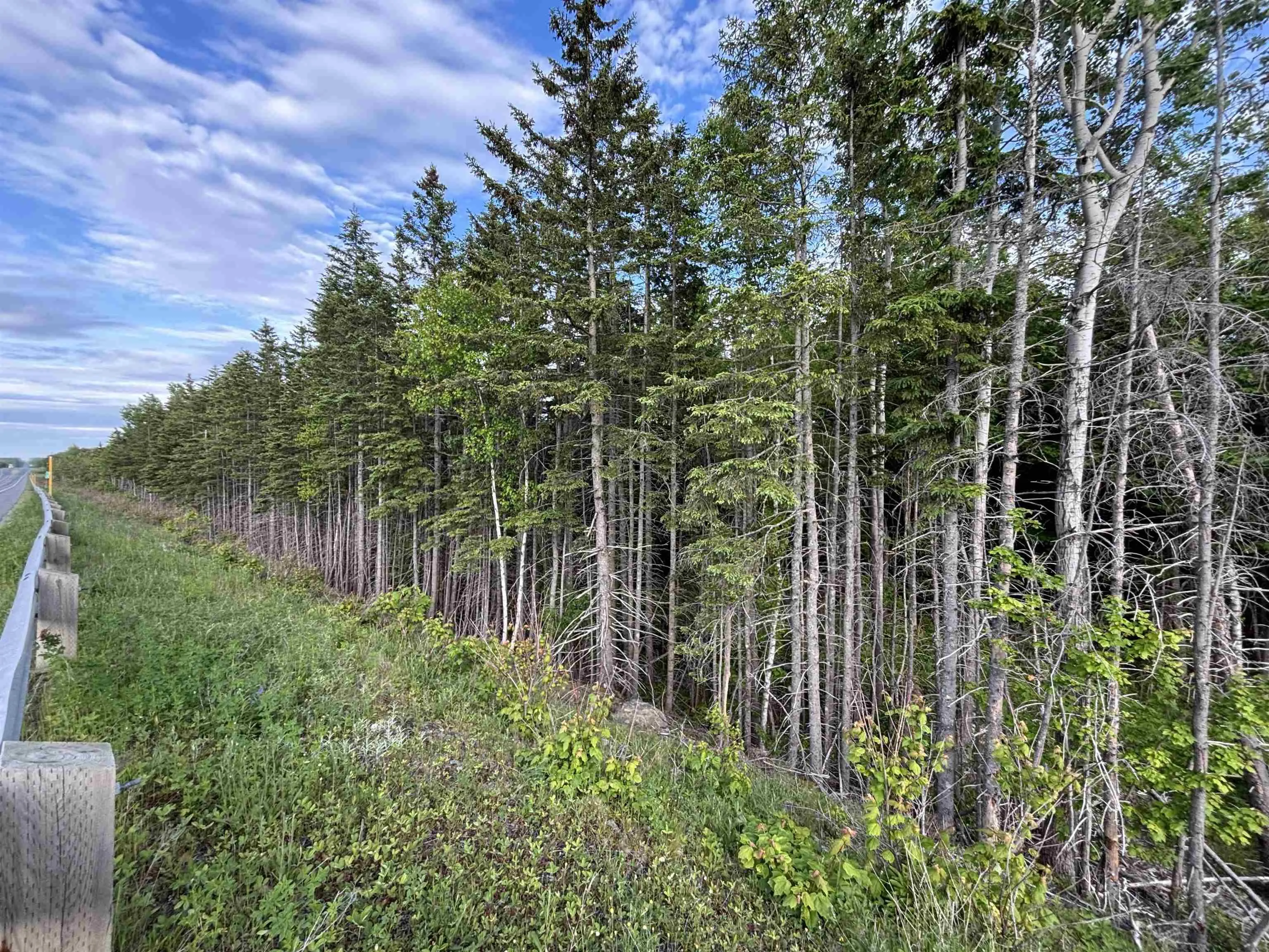 105 Highway Highway, Dalem Lake, NS B1X 1A1, ,Land,For Sale,Highway,202520781
