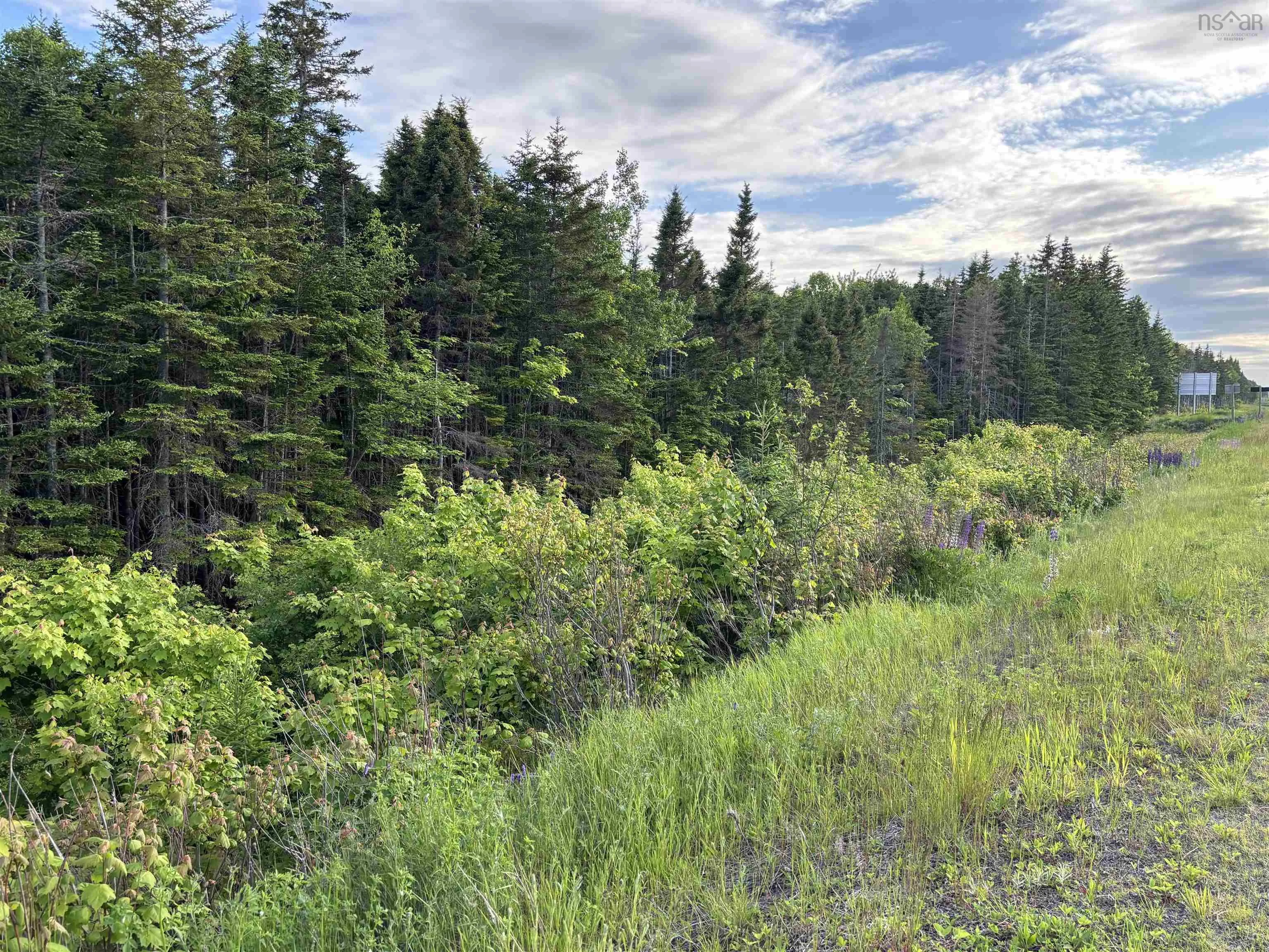 105 Highway Highway, Dalem Lake, NS B1X 1A1, ,Land,For Sale,Highway,202520781