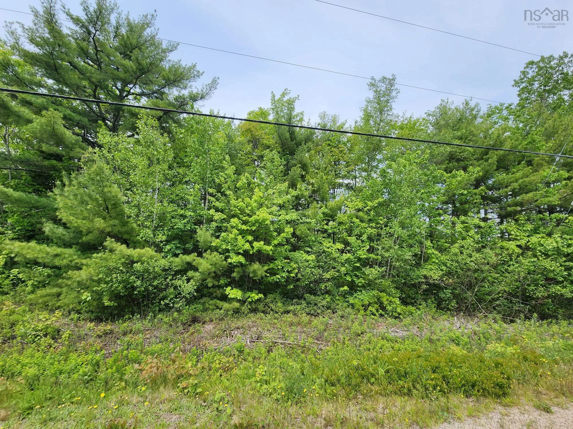 Charlton Road Lot 15, West Springhill Ns B0s 1a0, ,Land,For Sale,Charlton Road,202400082