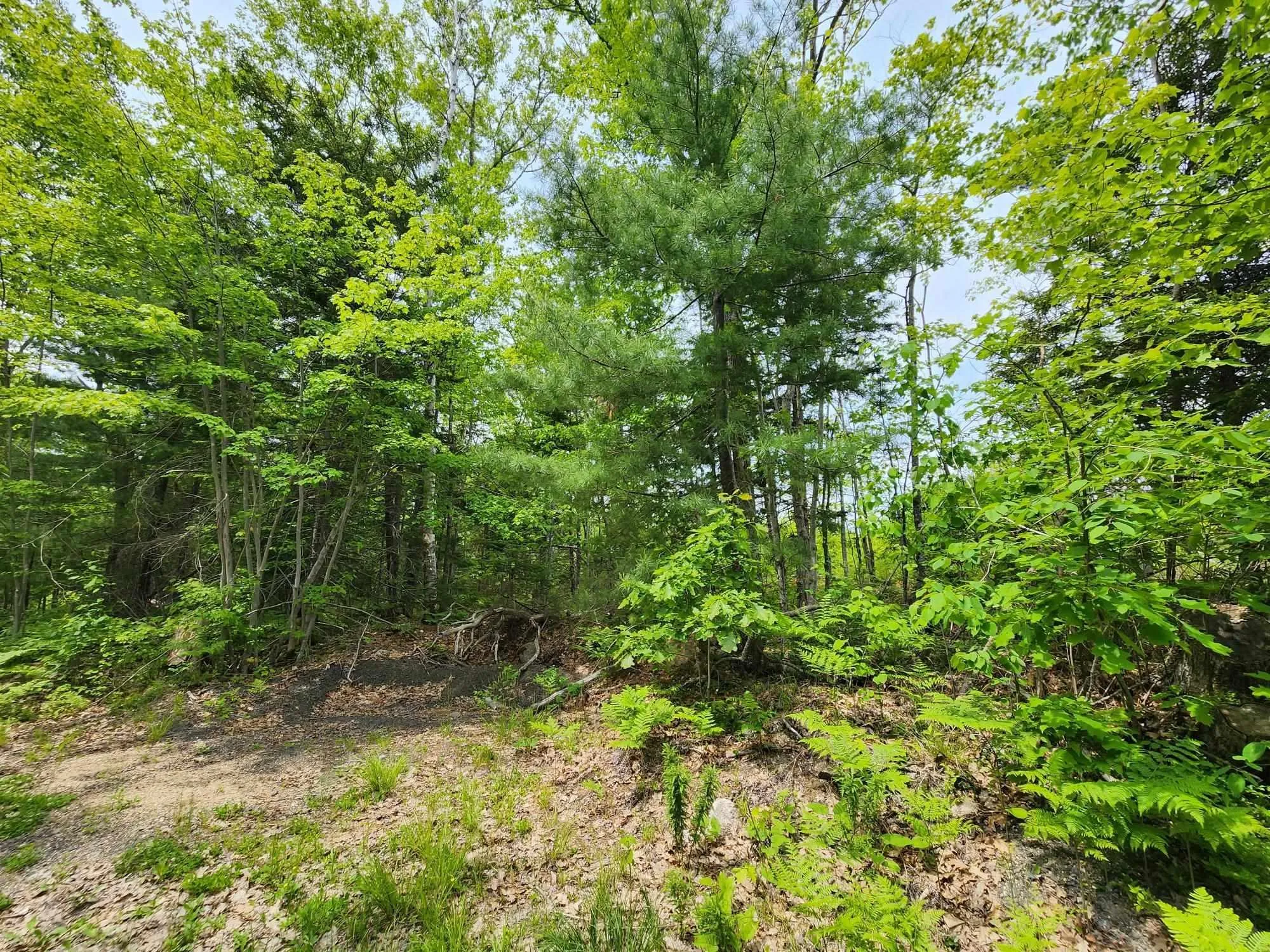 Charlton Road Lot 15, West Springhill Ns B0s 1a0, ,Land,For Sale,Charlton Road,202400082