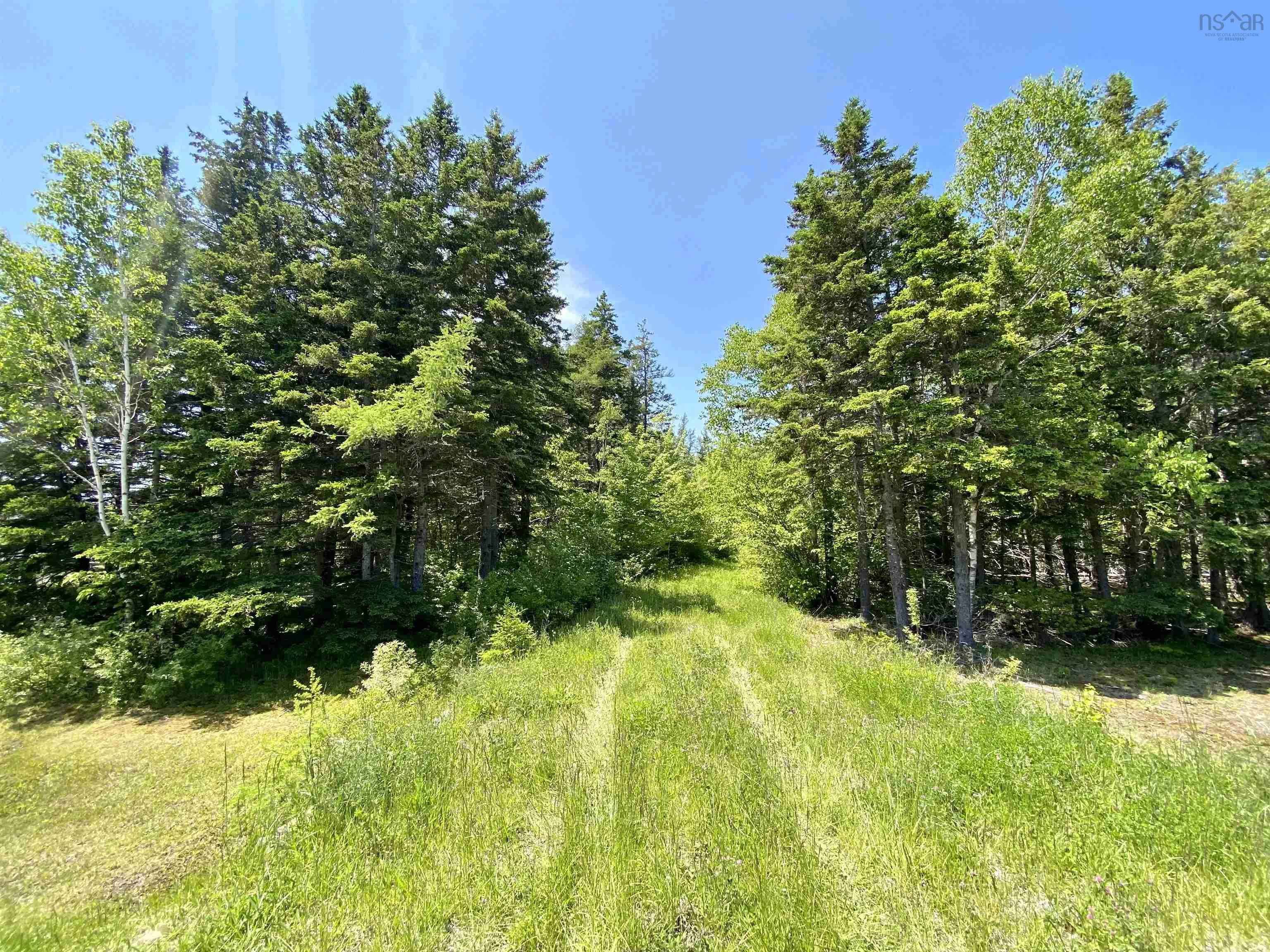 Acerage Highway 19, Long Point, NS B9A 1P3, ,Land,For Sale,Highway 19,202522664
