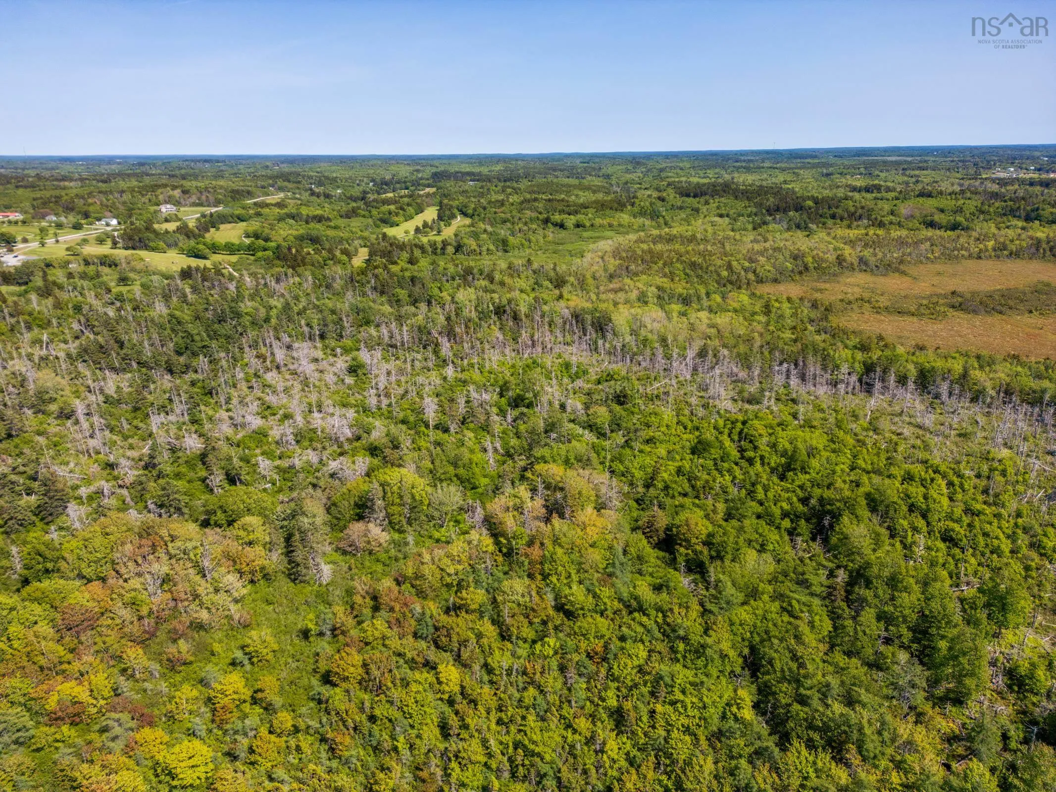 Lot Highway 1, Comeauville, NS B0W 2Z0, ,Land,For Sale,Highway 1,202519834